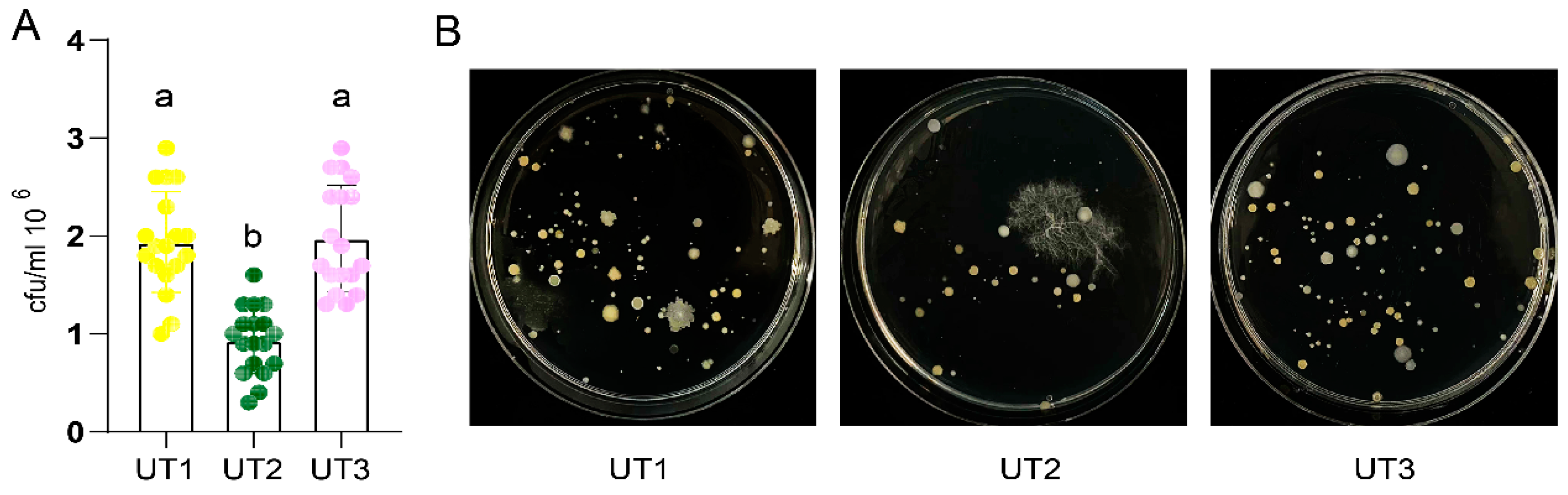 Preprints 96708 g003