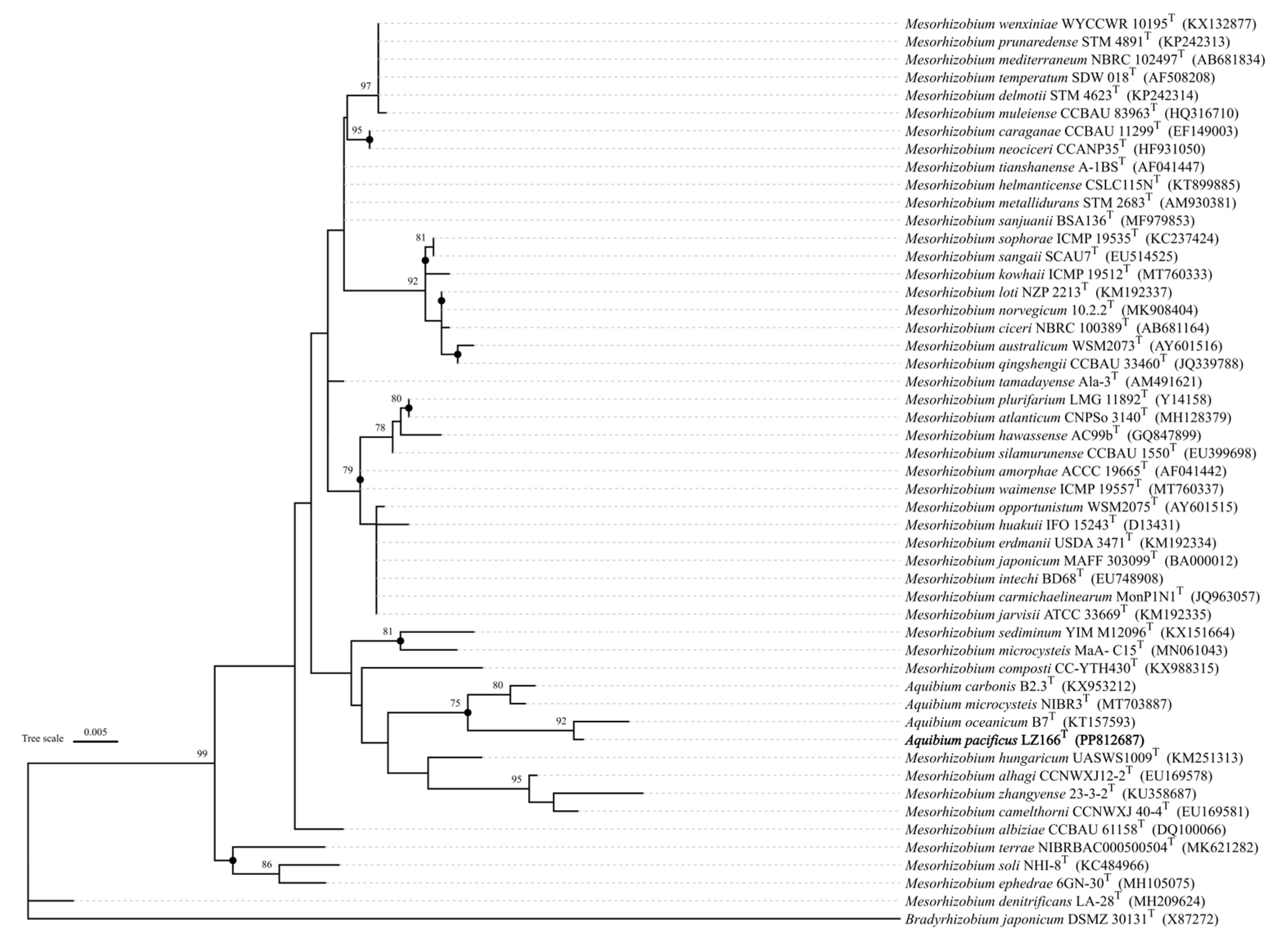 Preprints 112173 g001