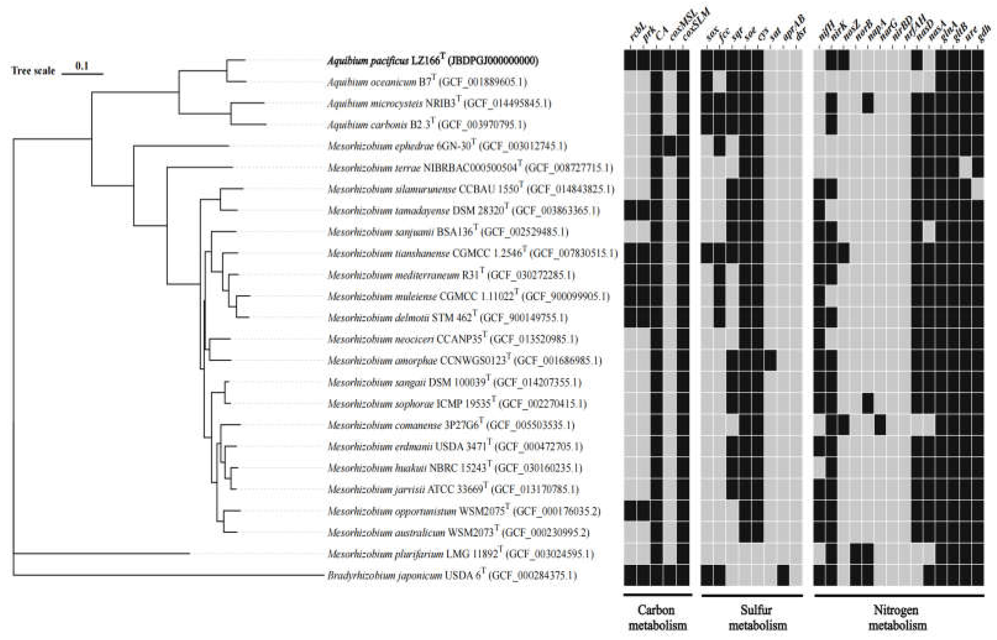 Preprints 112173 g002