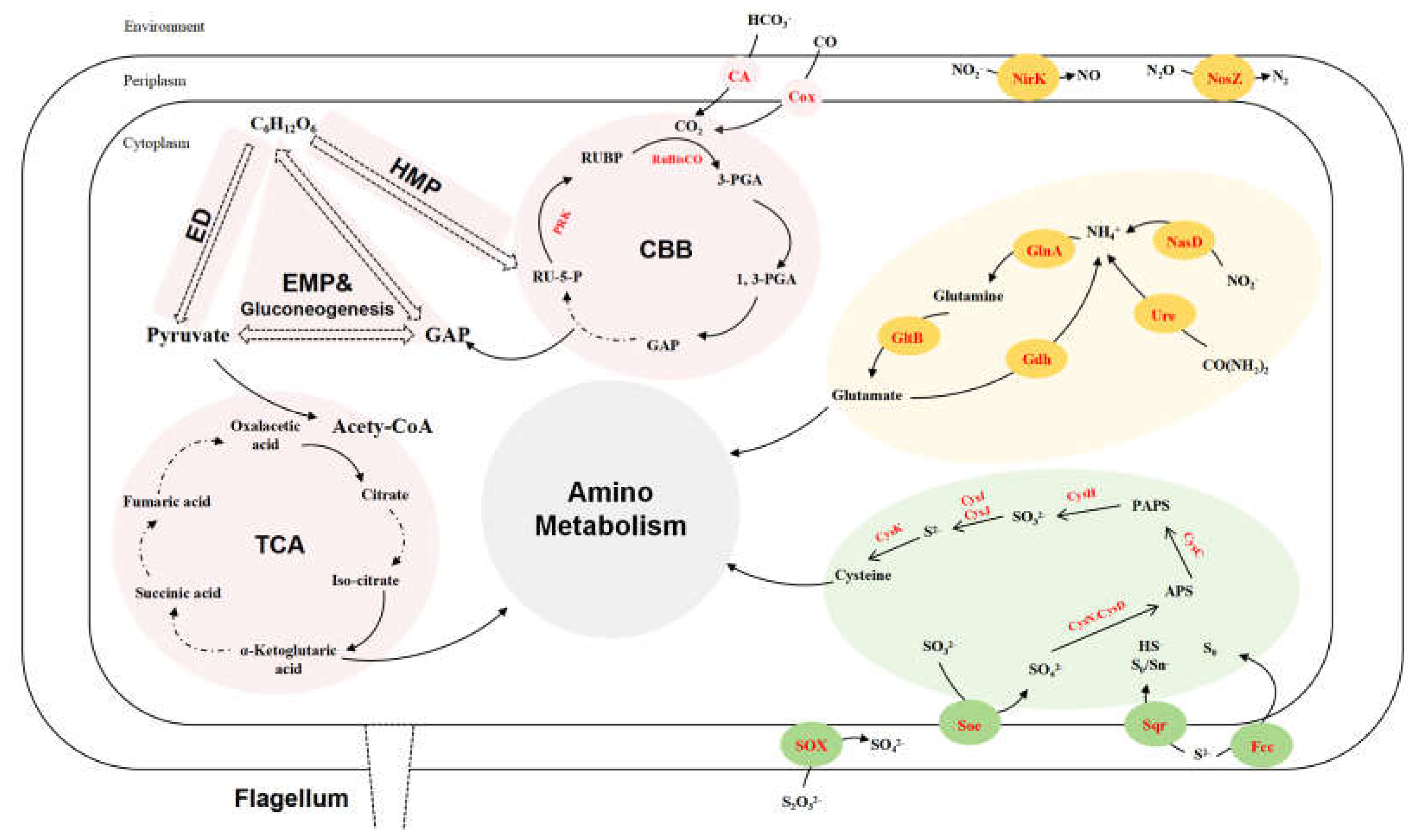 Preprints 112173 g003