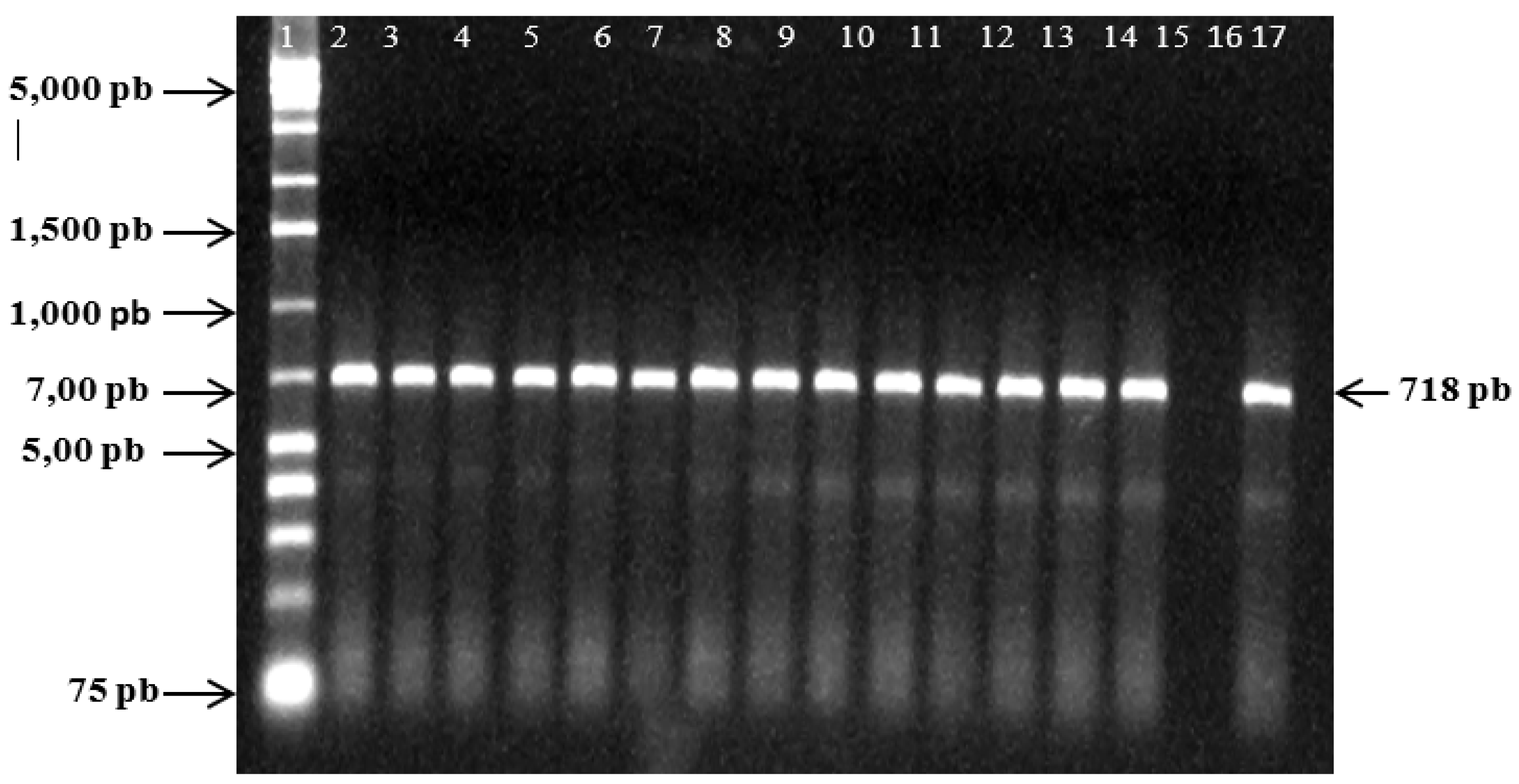 Preprints 103693 g002