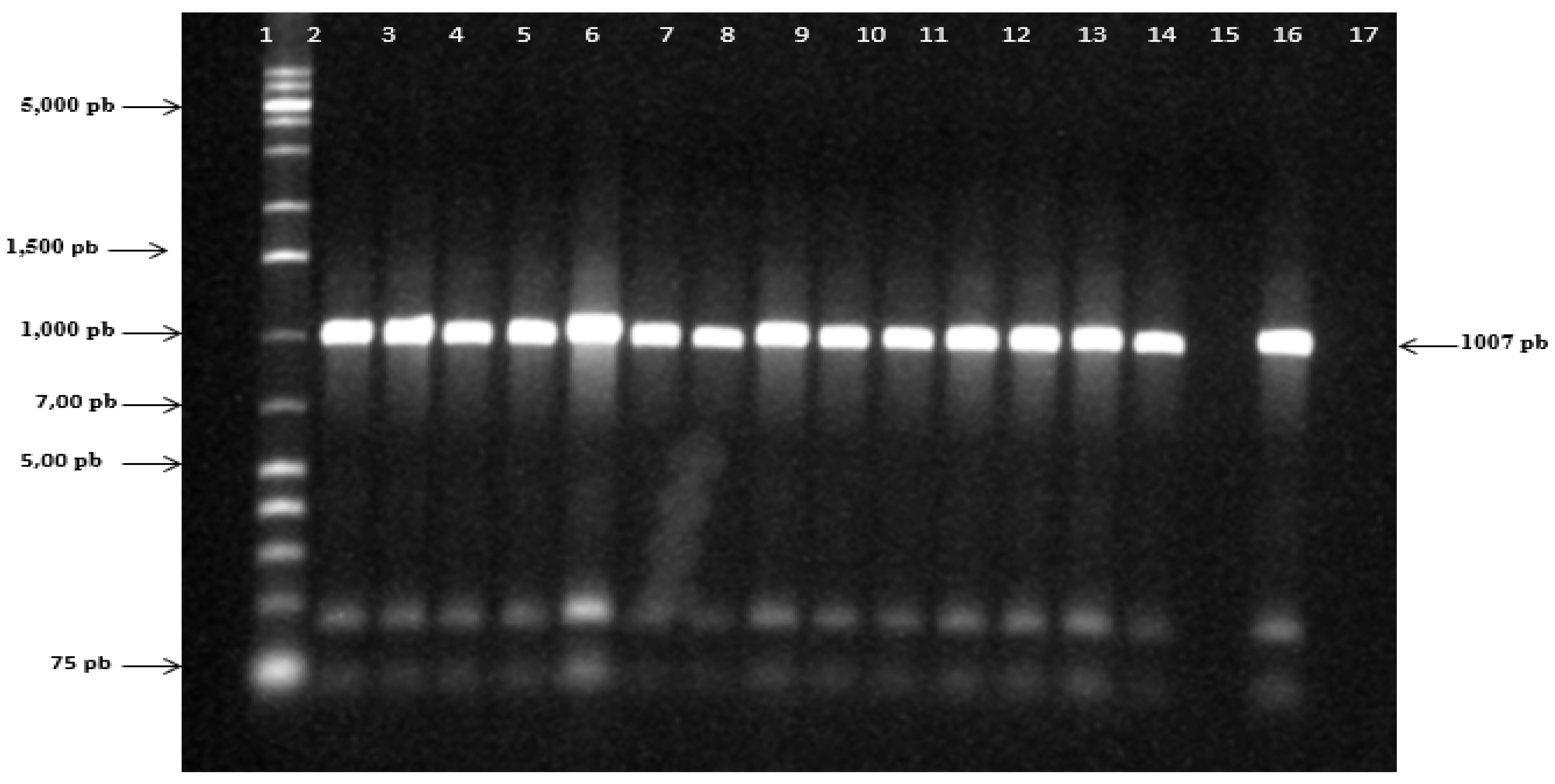 Preprints 103693 g003