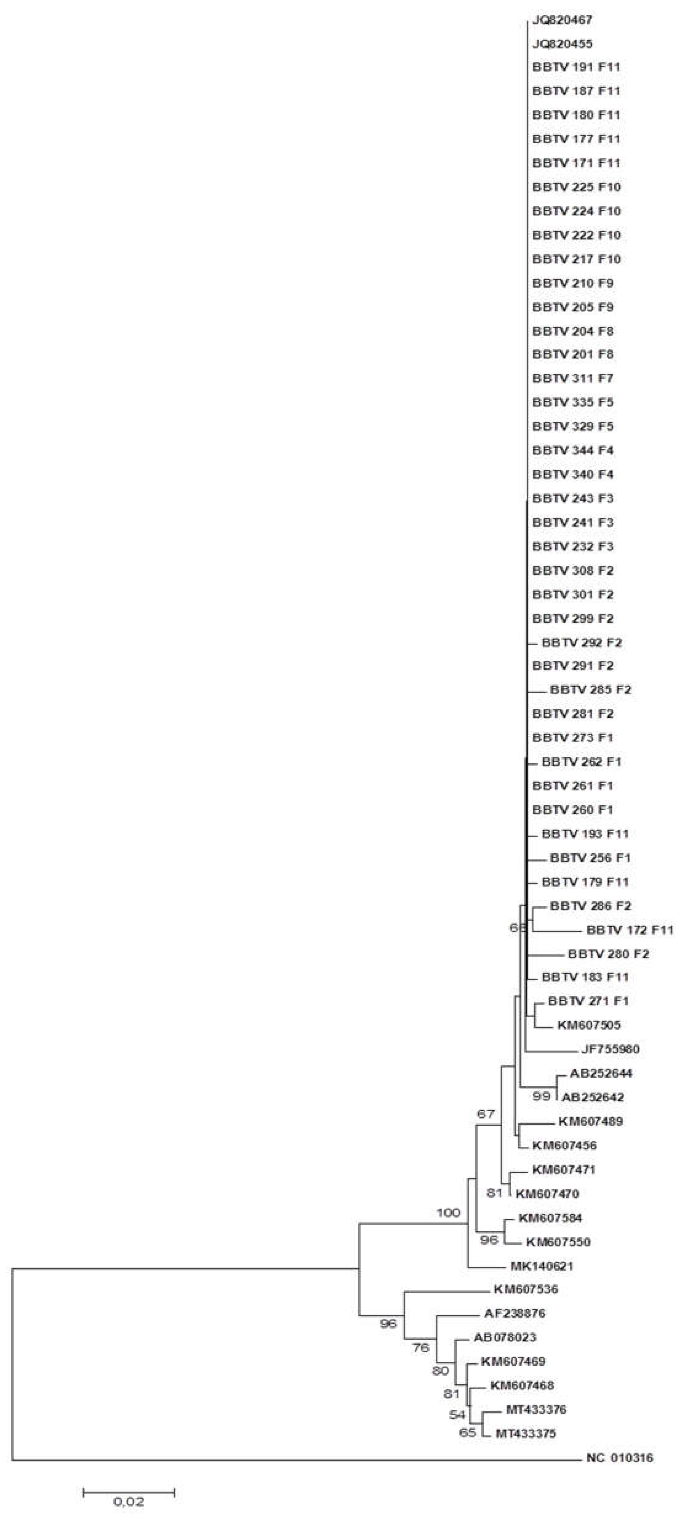 Preprints 103693 g004