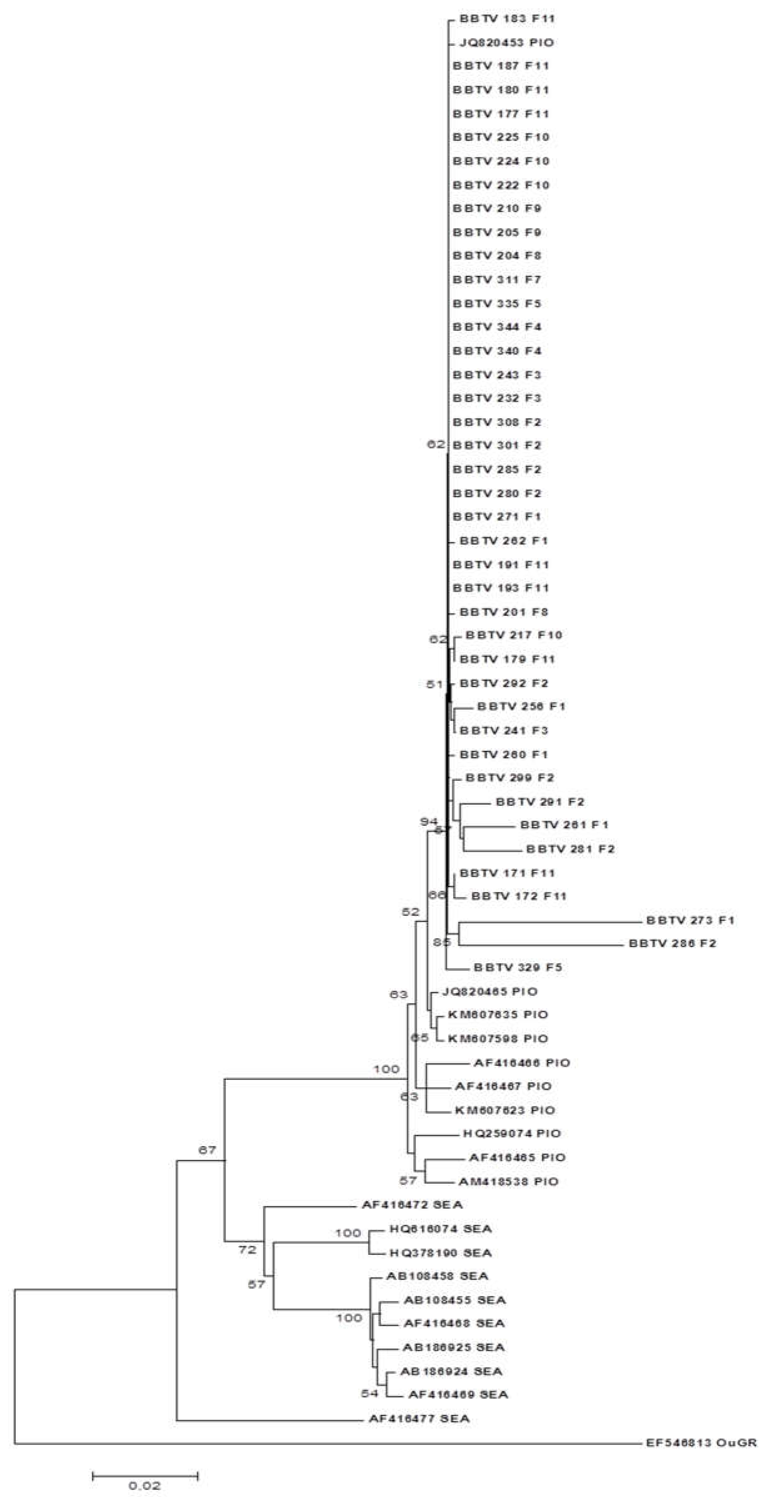 Preprints 103693 g006