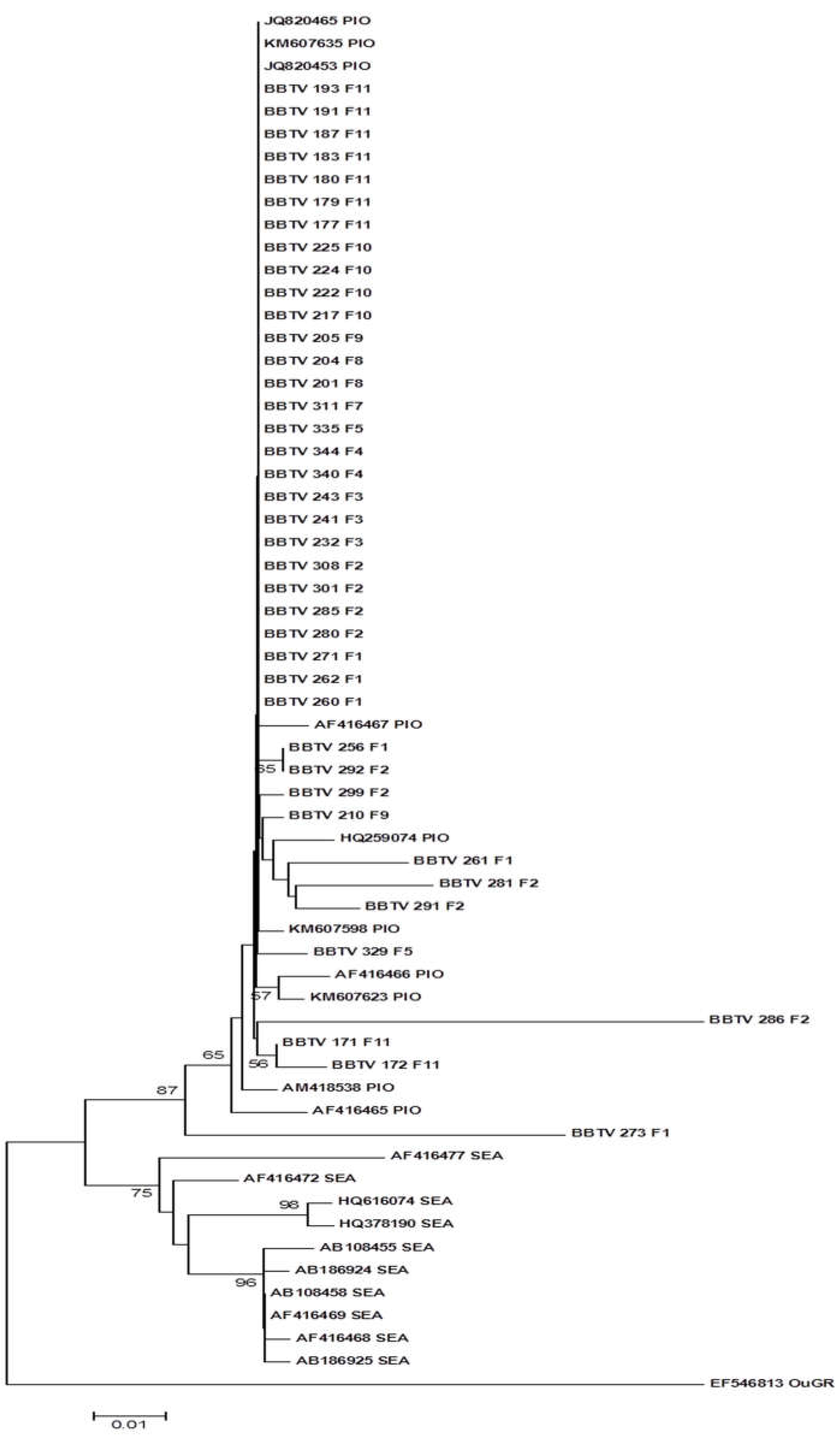 Preprints 103693 g007