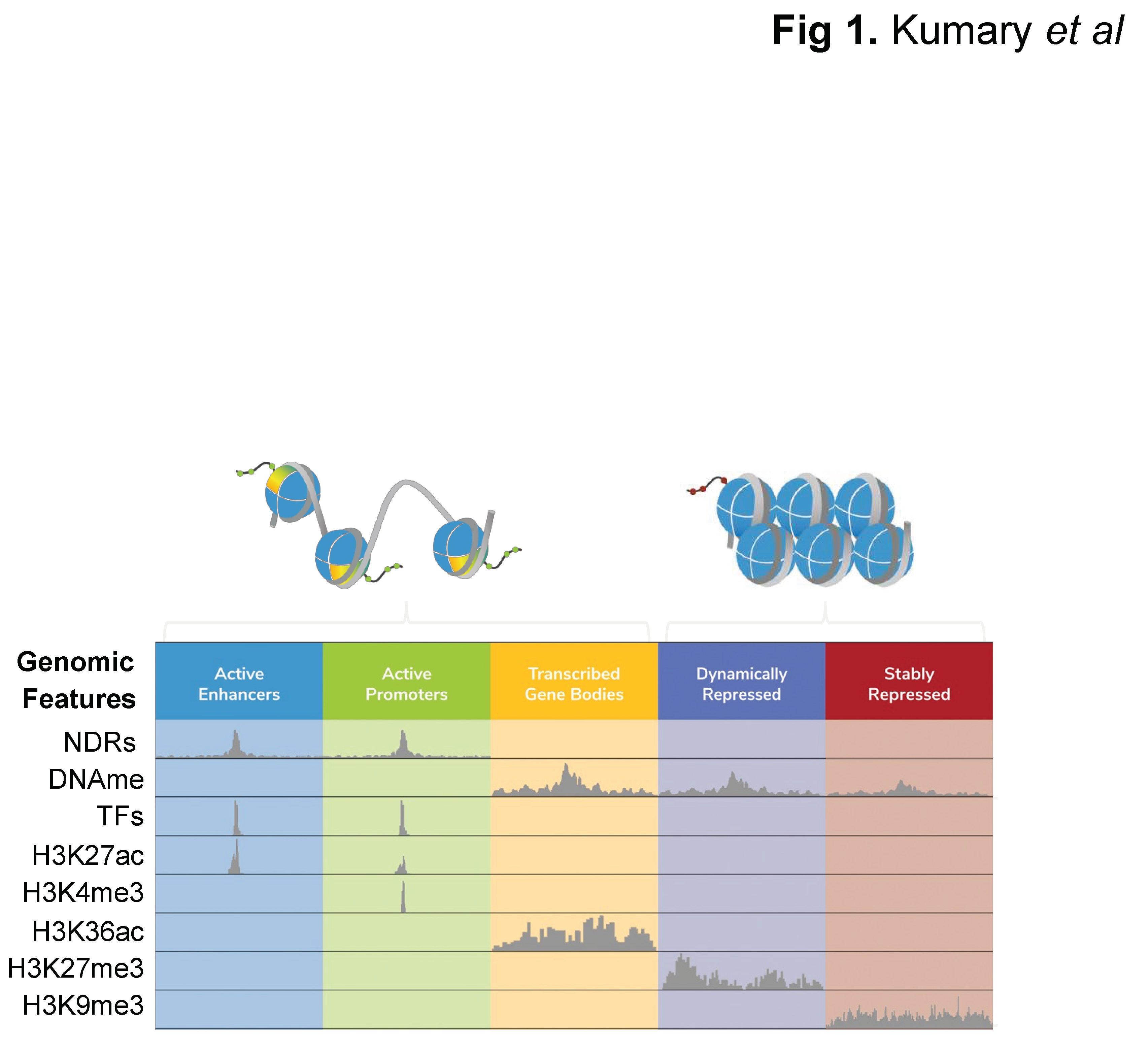 Preprints 99592 g001