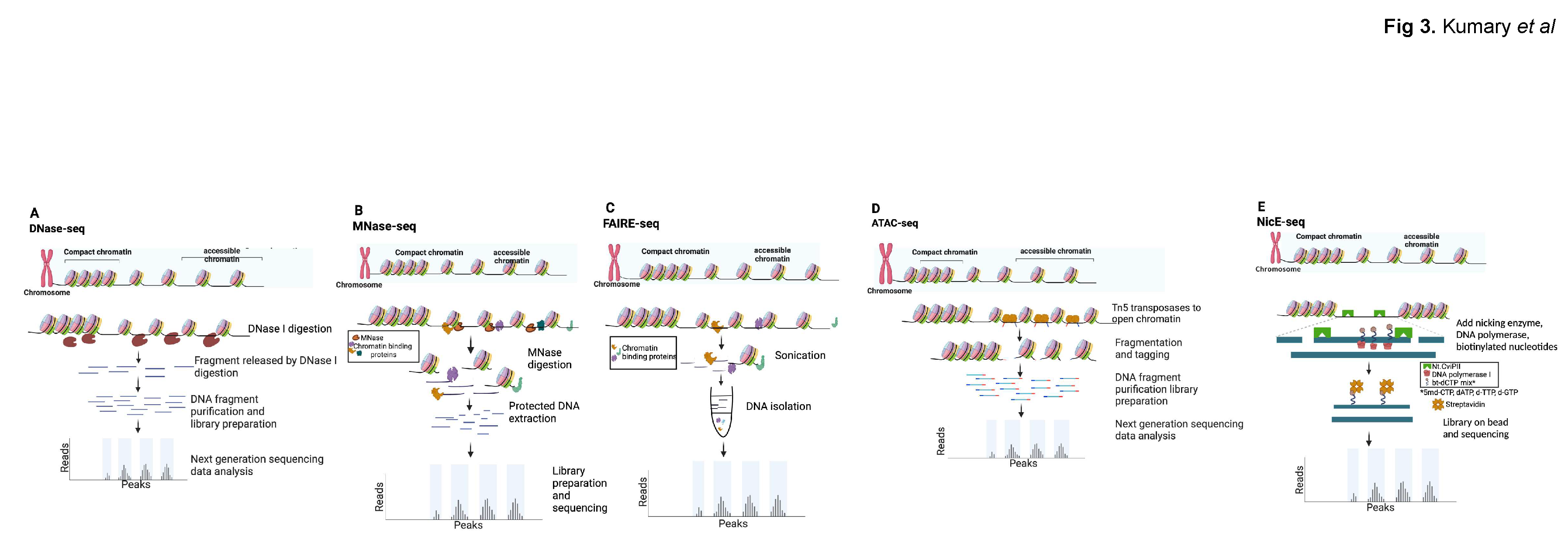 Preprints 99592 g003