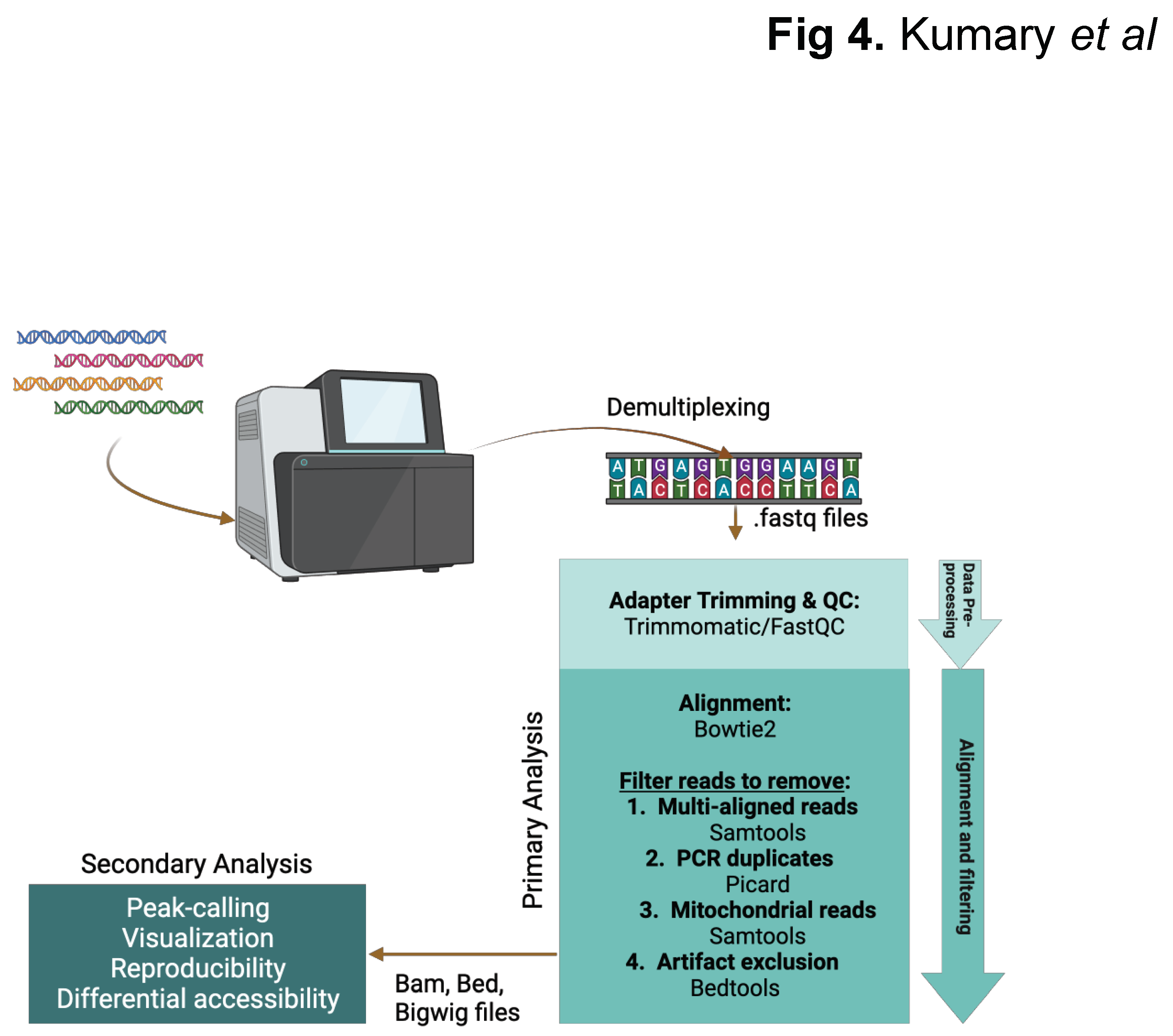 Preprints 99592 g004