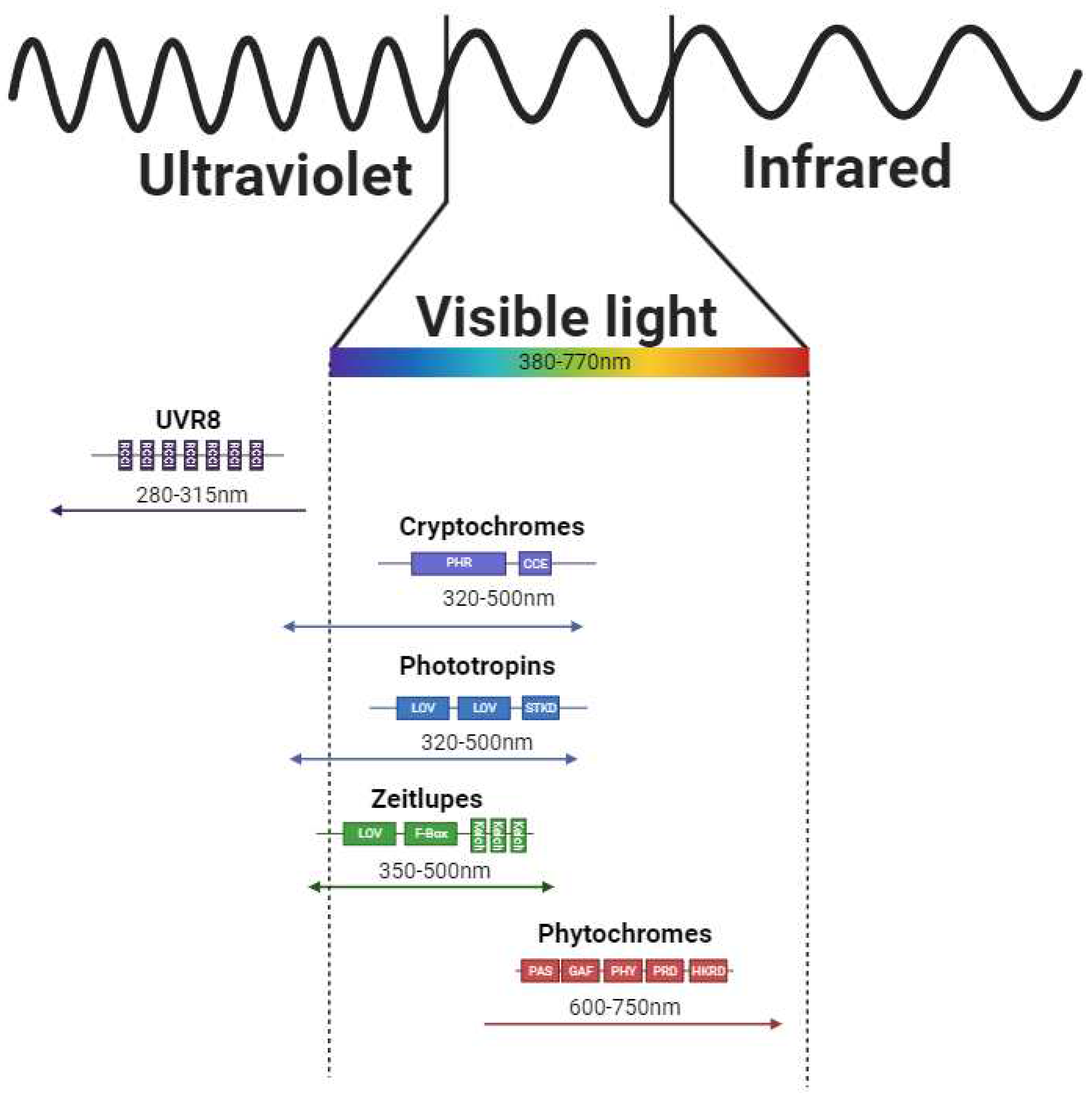 Preprints 97679 g001