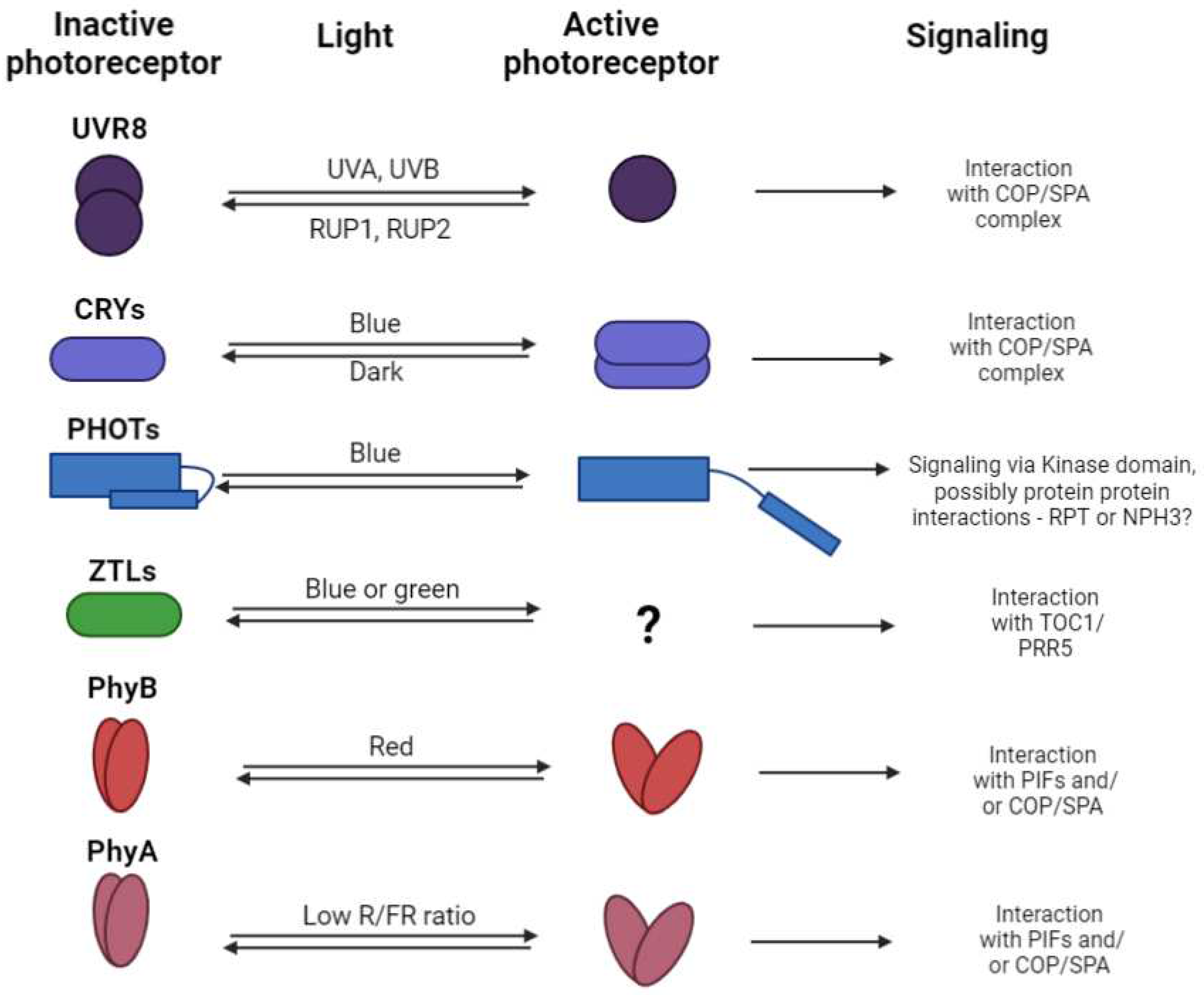 Preprints 97679 g002