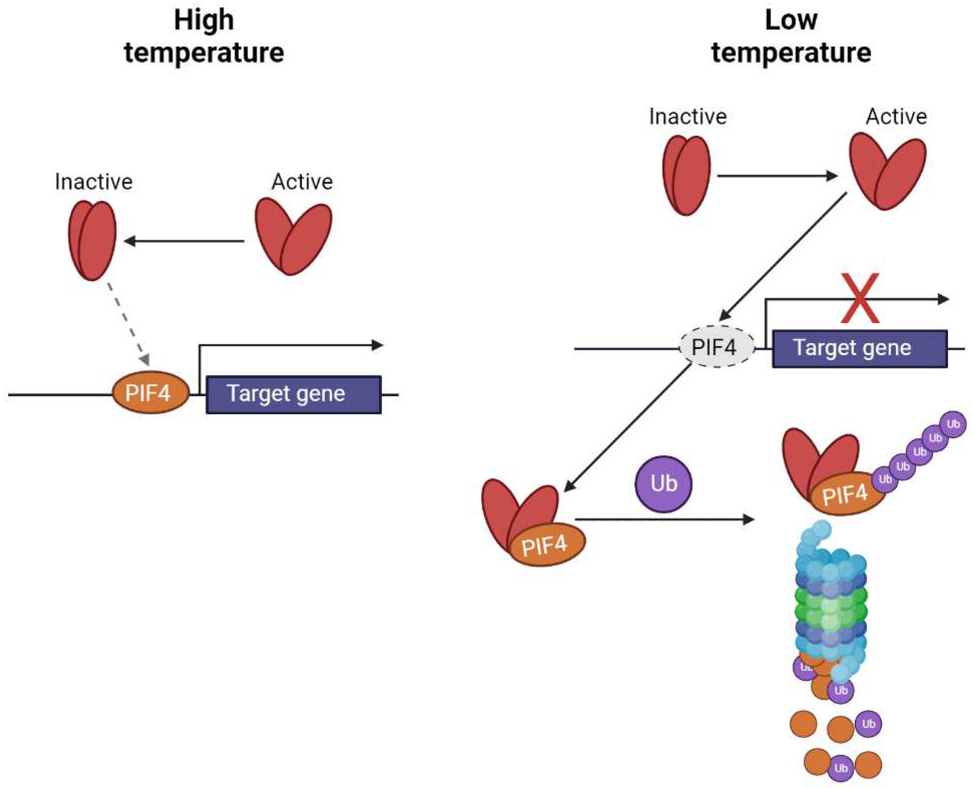 Preprints 97679 g003