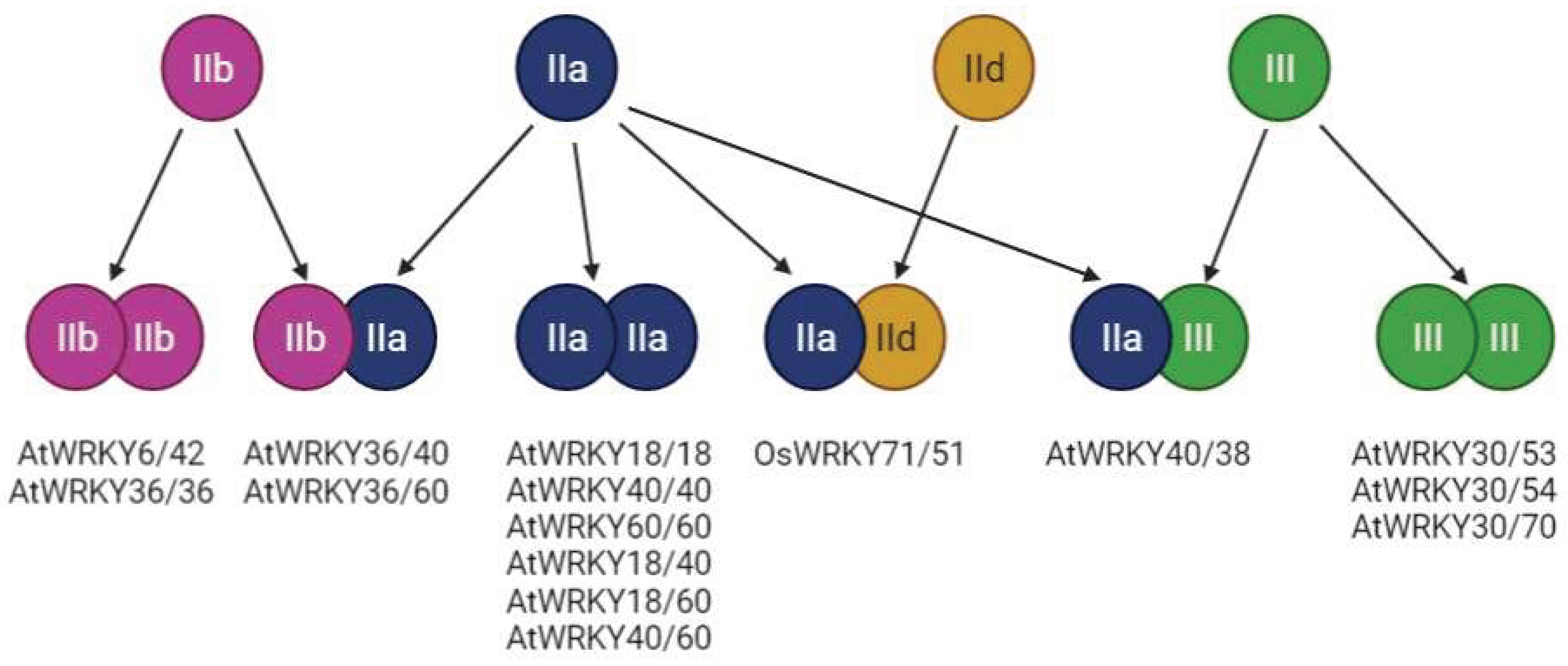 Preprints 97679 g004