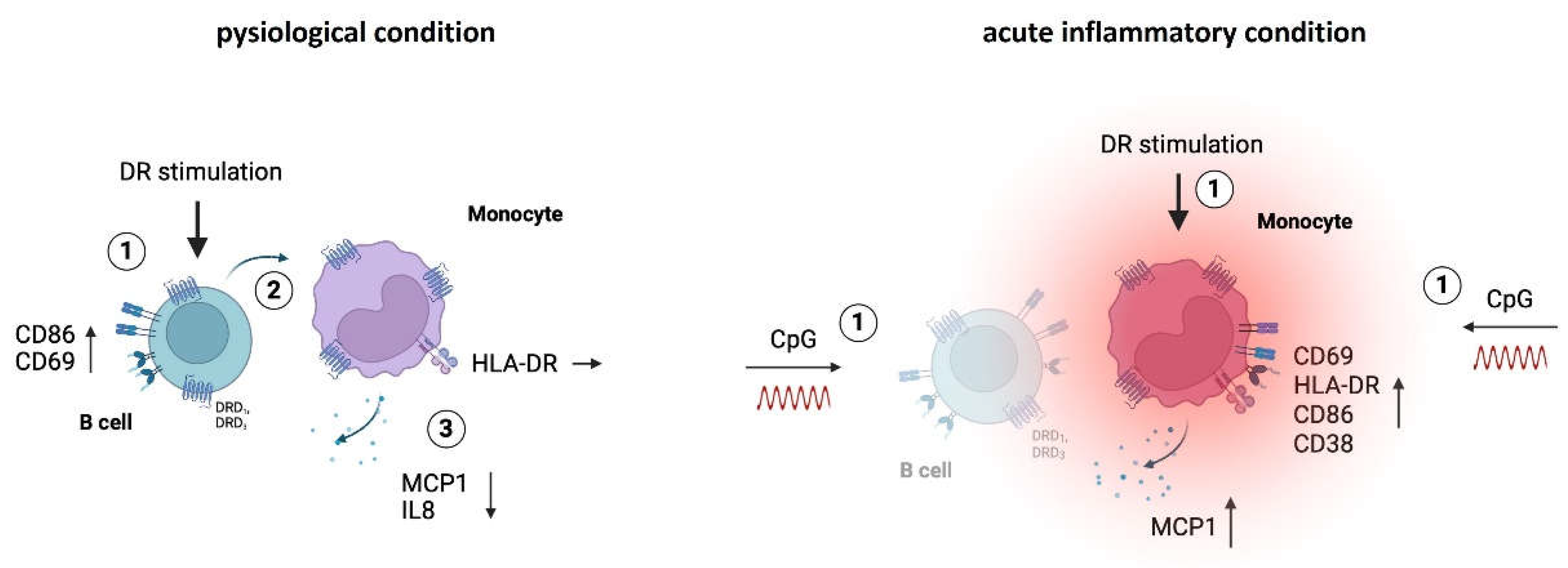 Preprints 115624 g007