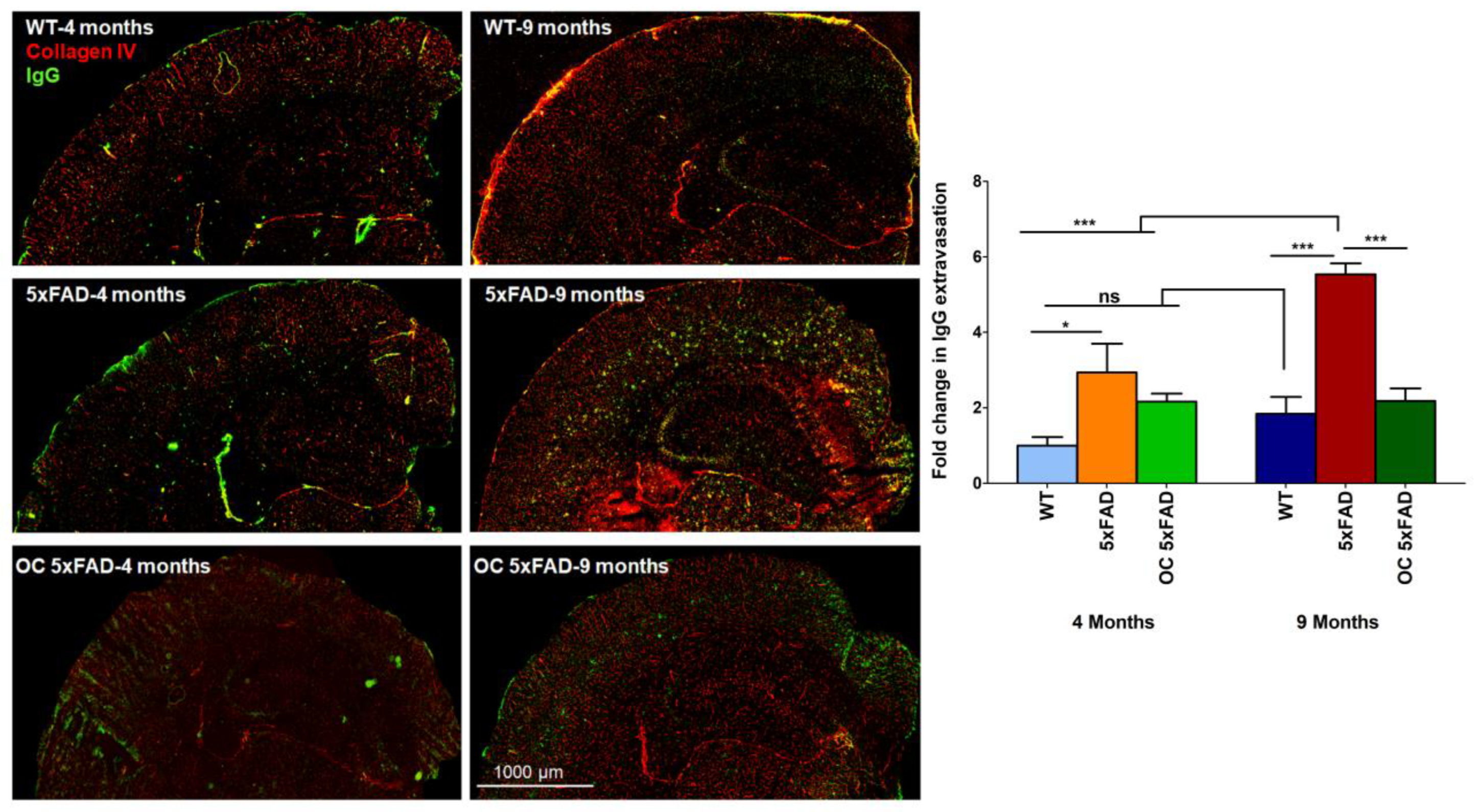 Preprints 77080 g002