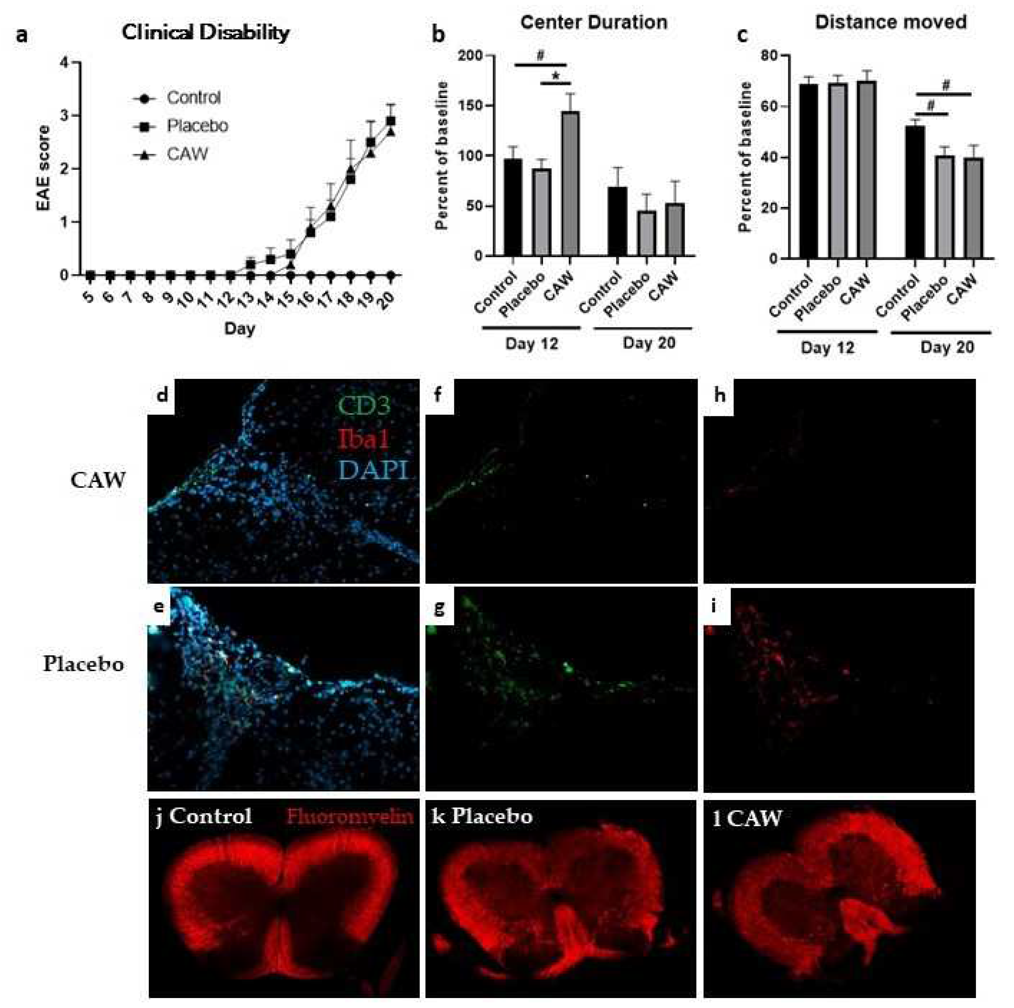 Preprints 83770 g001