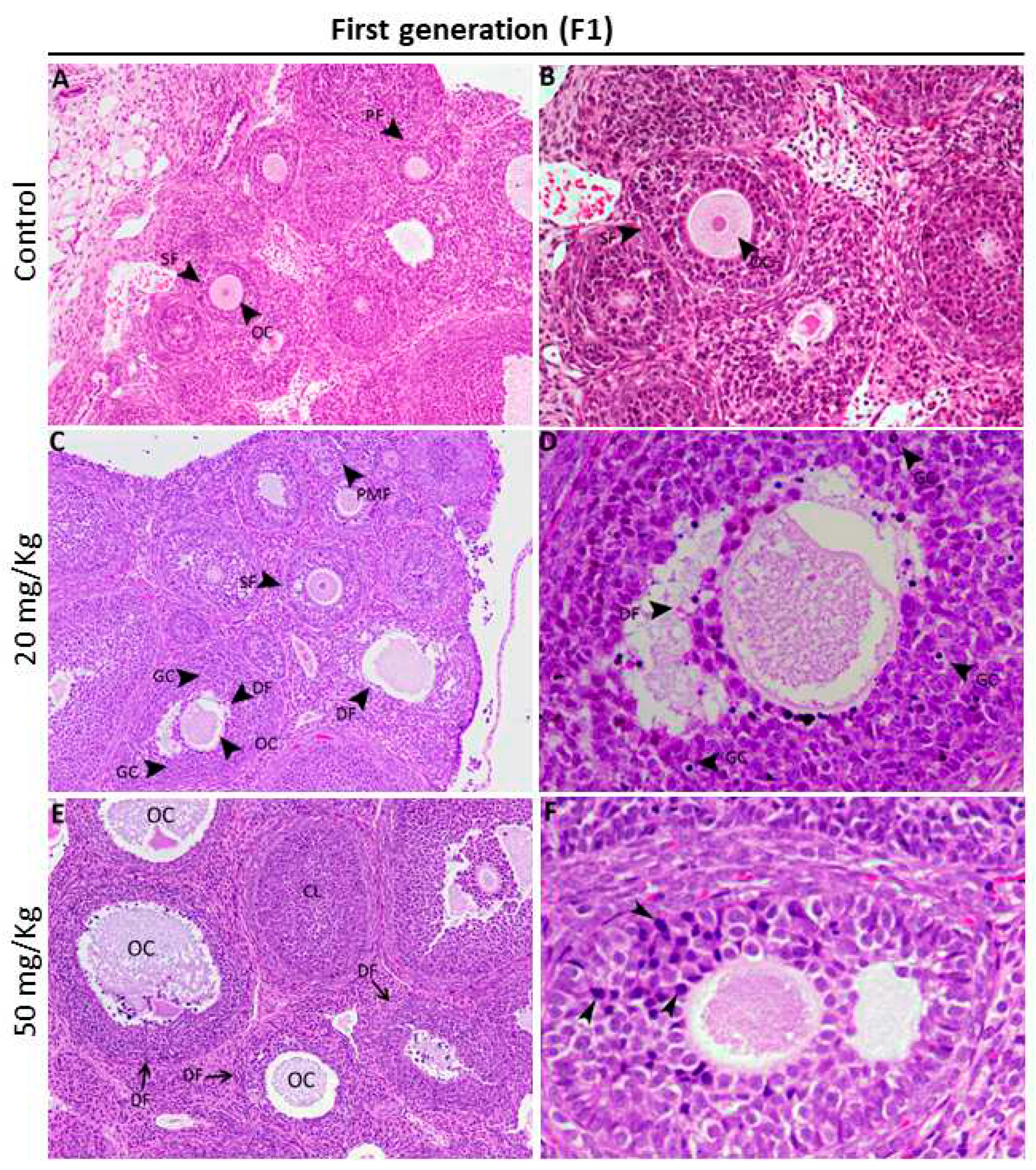 Preprints 85868 g003