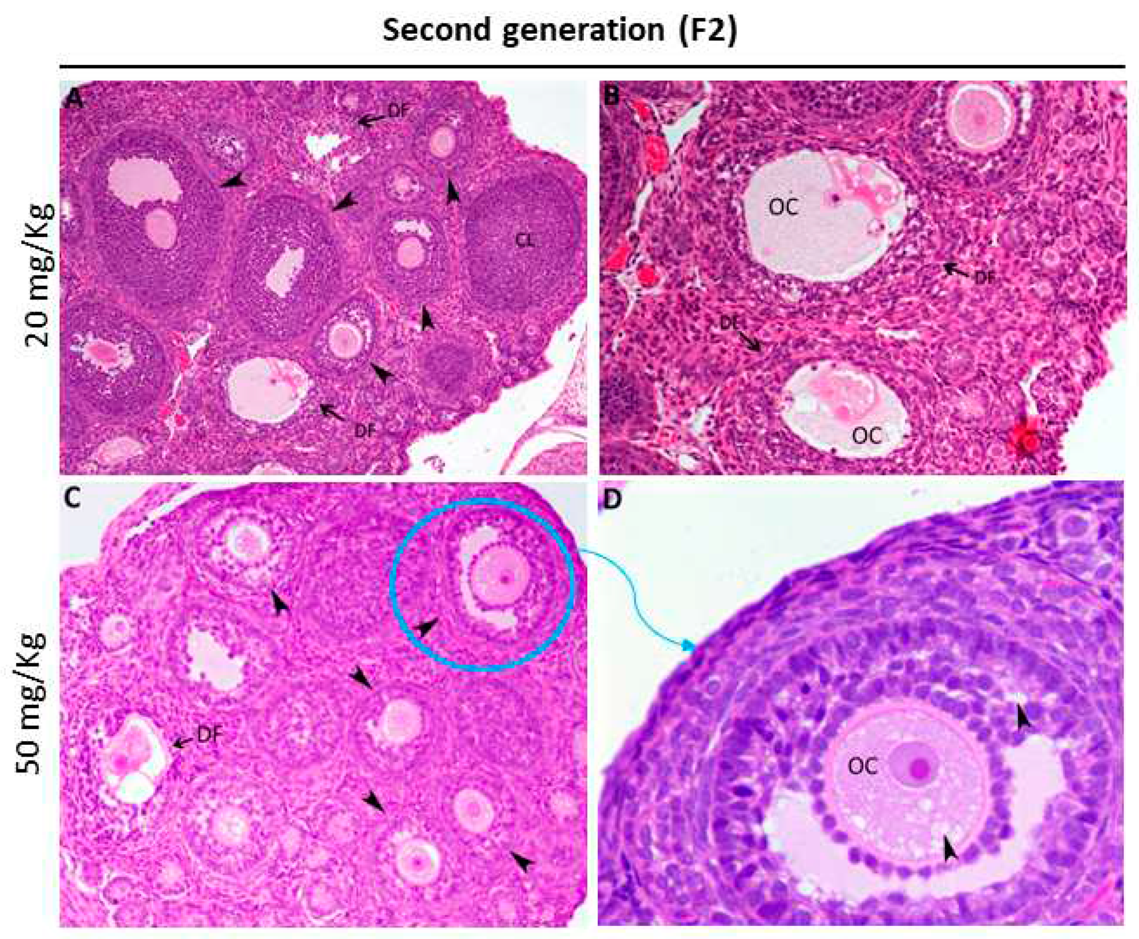 Preprints 85868 g004