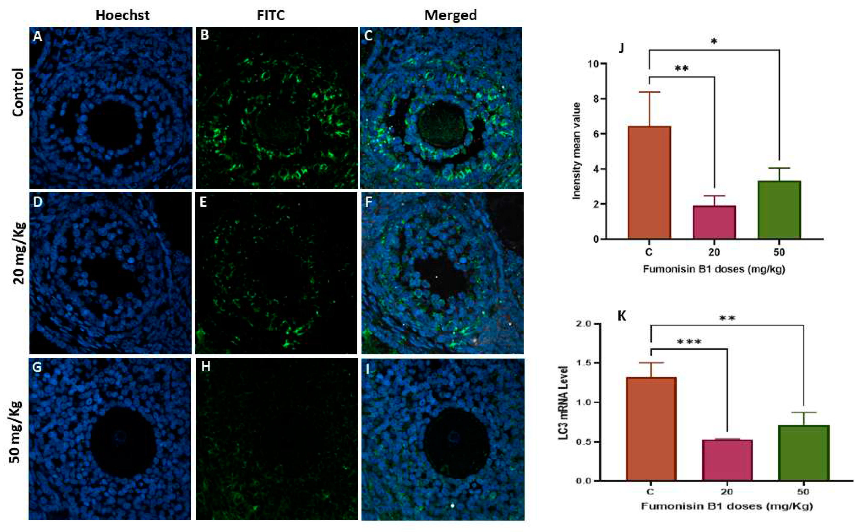 Preprints 85868 g006