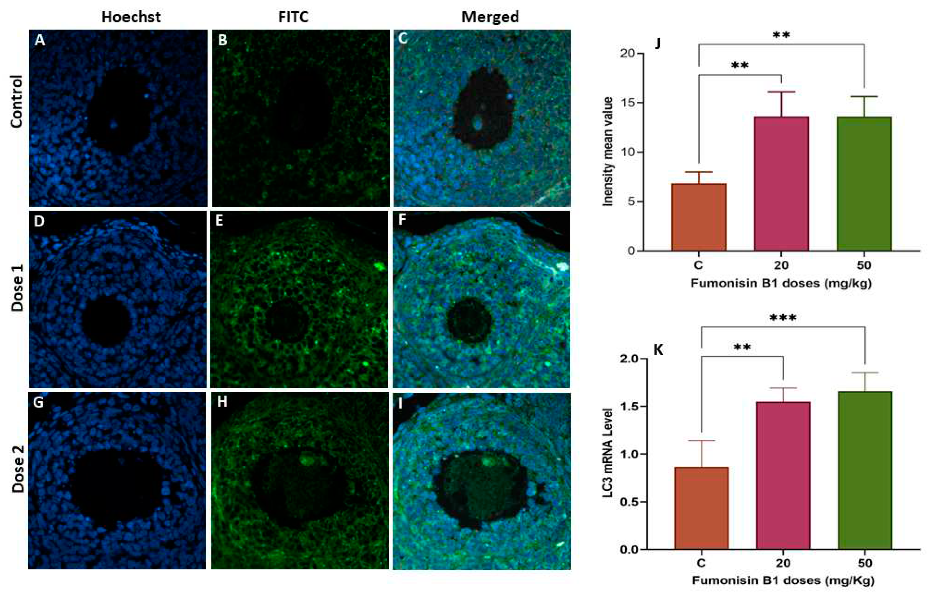 Preprints 85868 g007