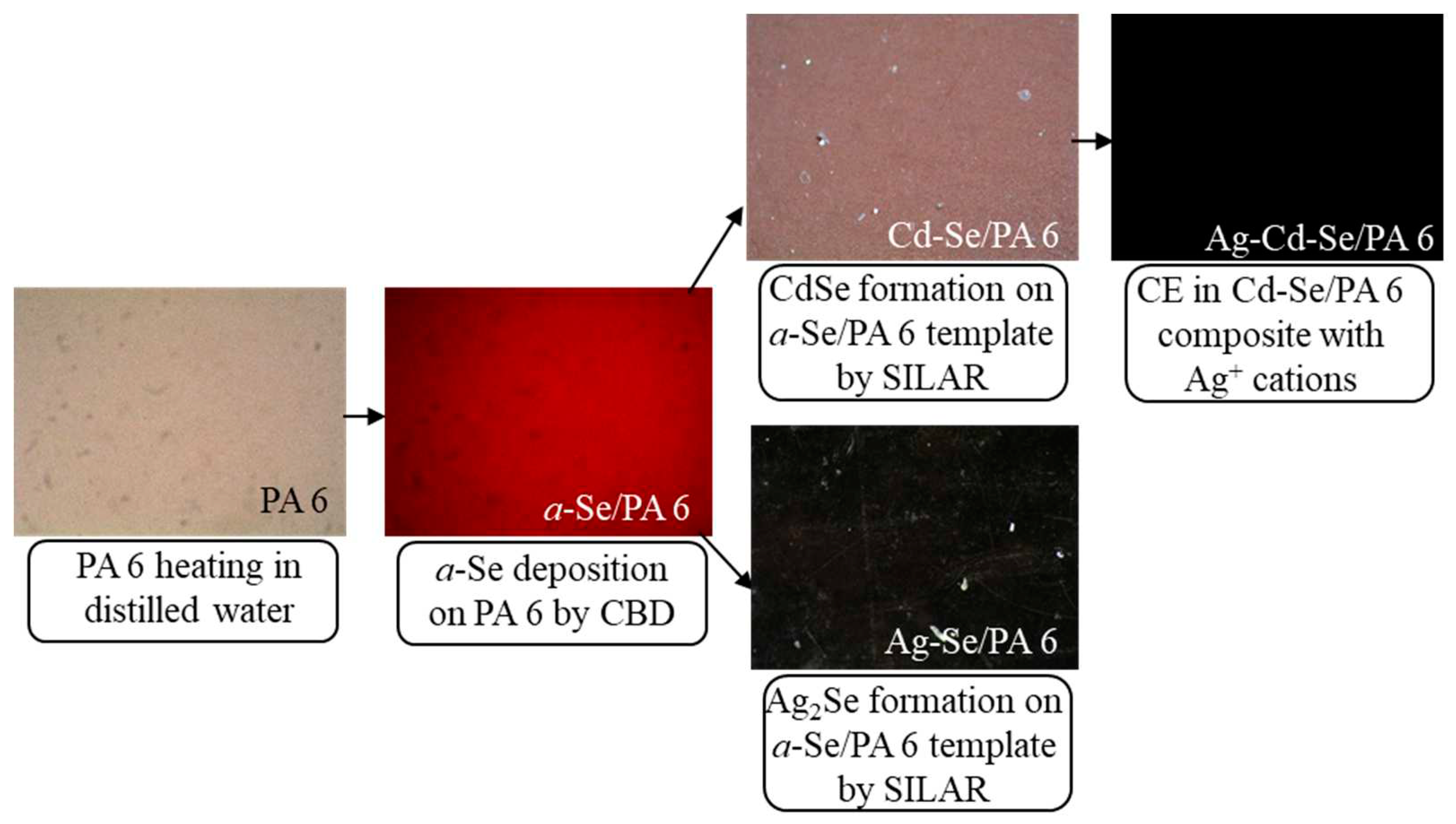 Preprints 78558 g001