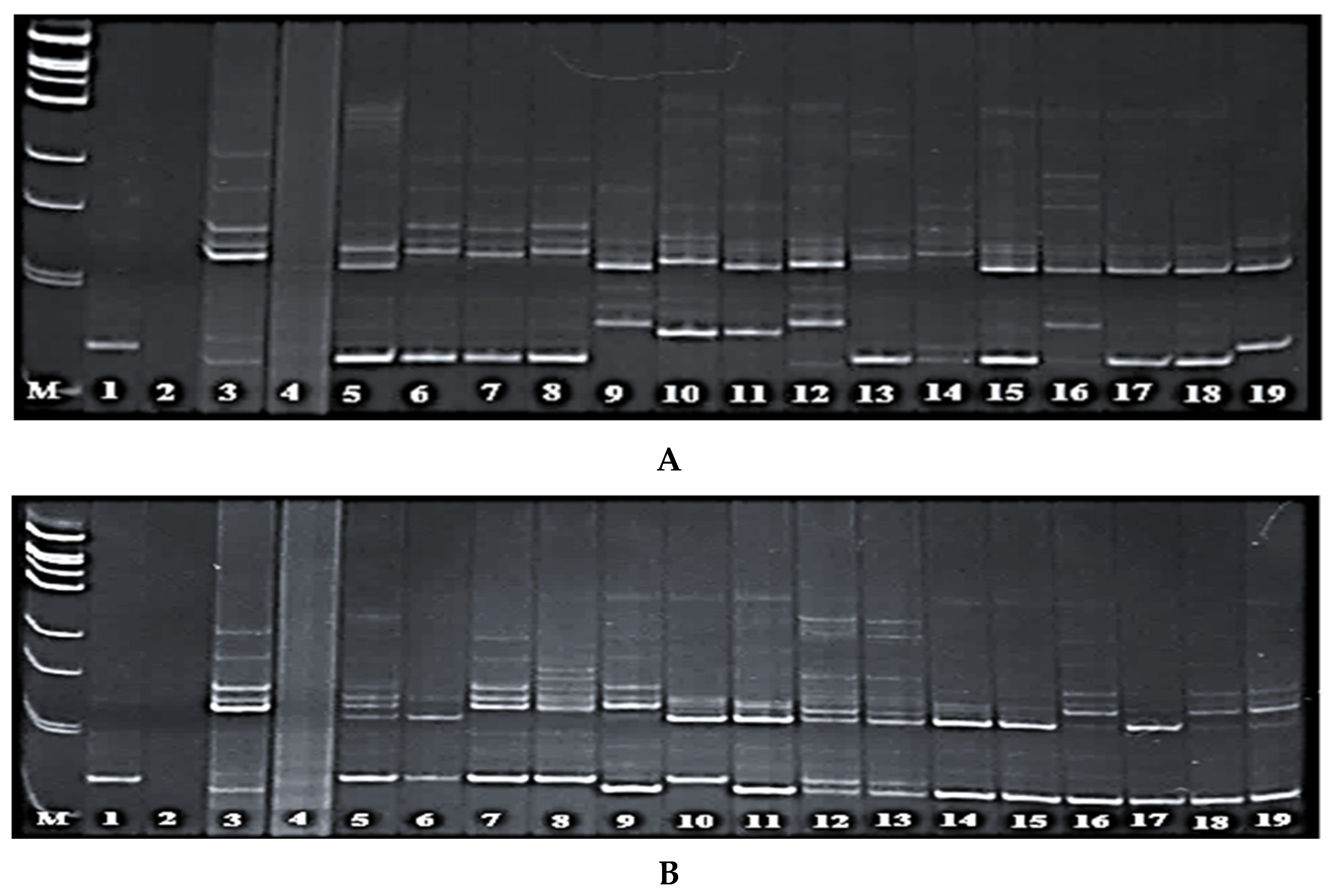 Preprints 109320 g001