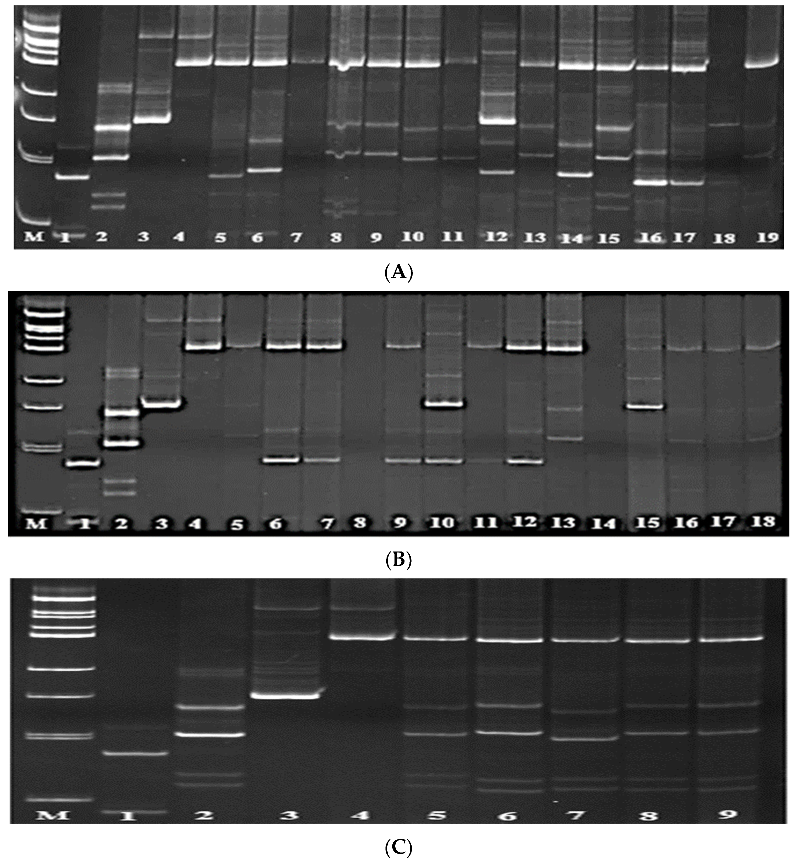 Preprints 109320 g002