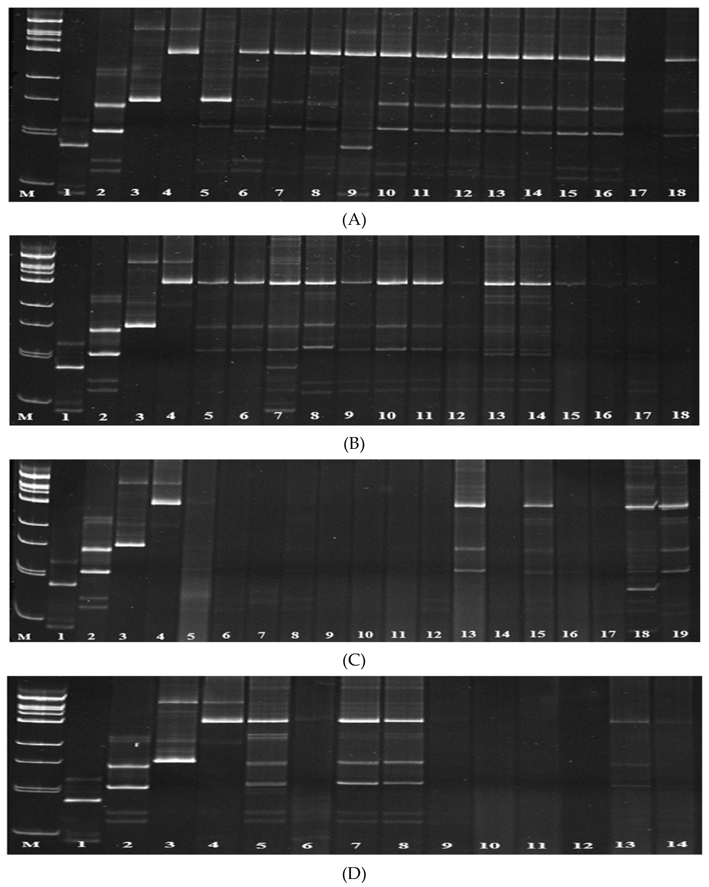 Preprints 109320 g004