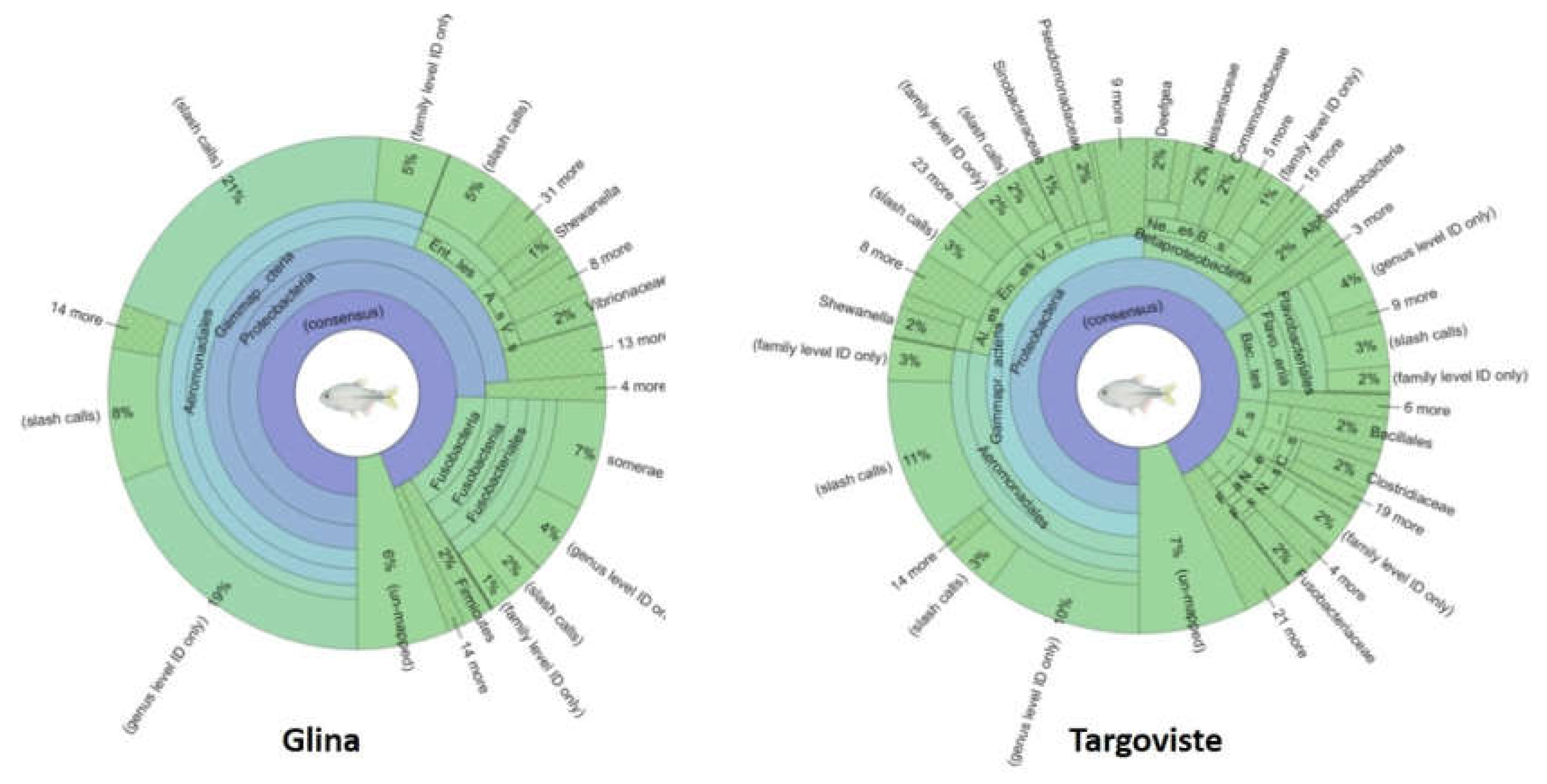 Preprints 113304 g009