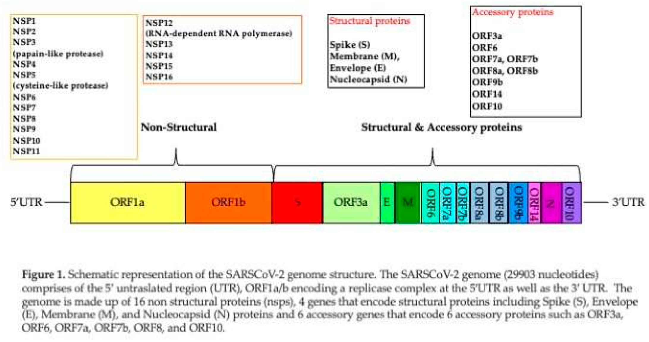 Preprints 78873 i001