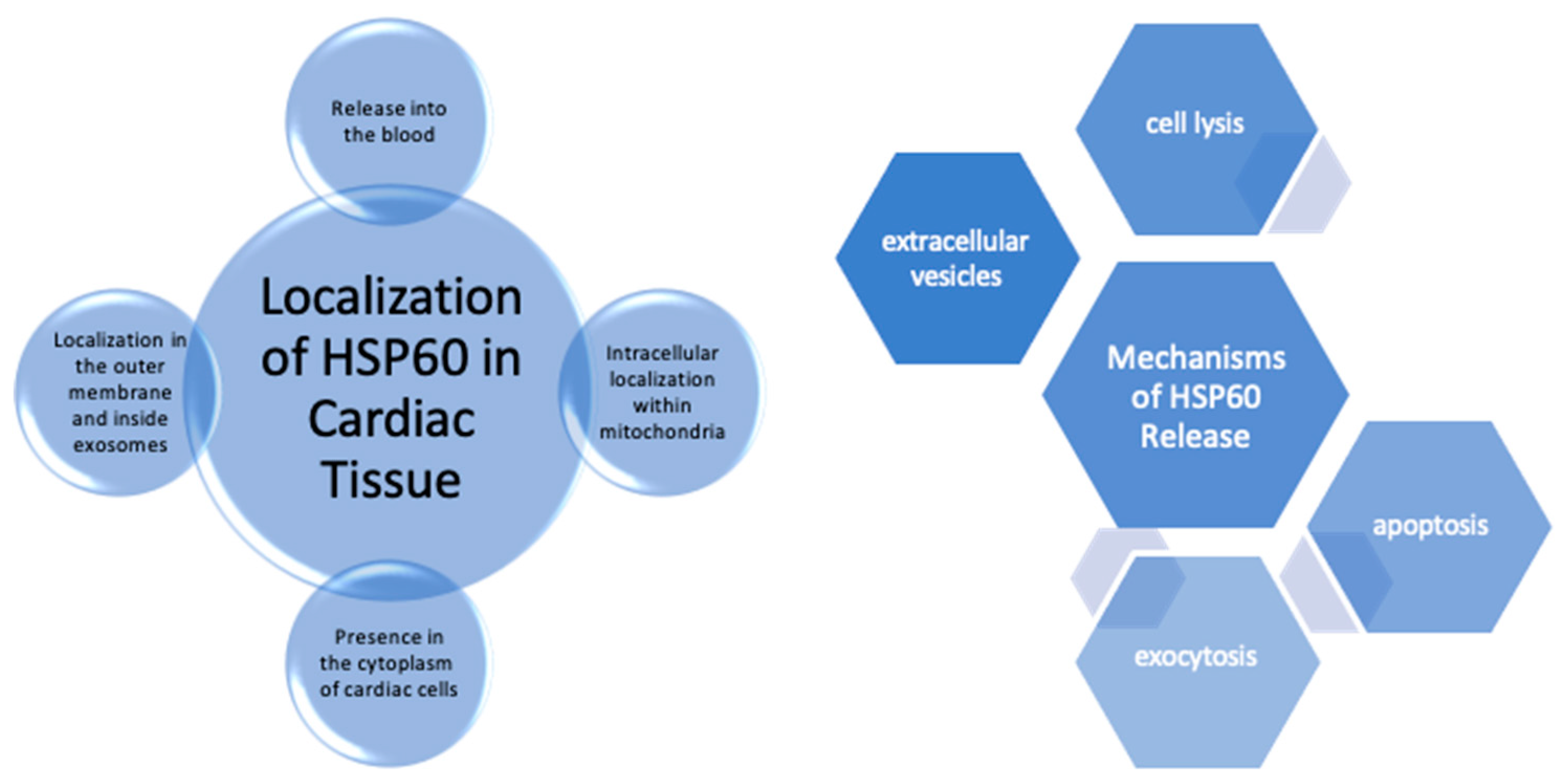 Preprints 114084 g001