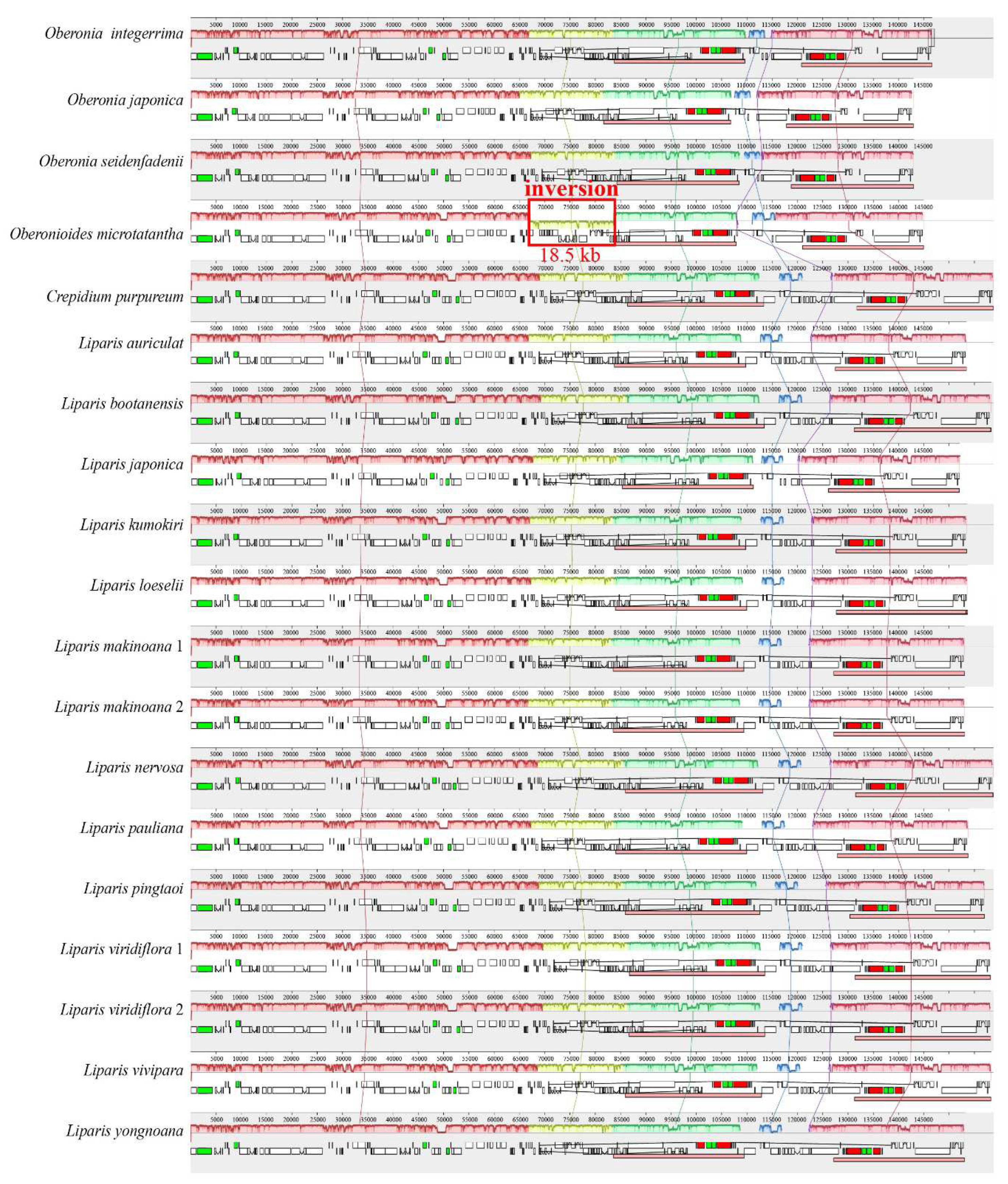 Preprints 94367 g002