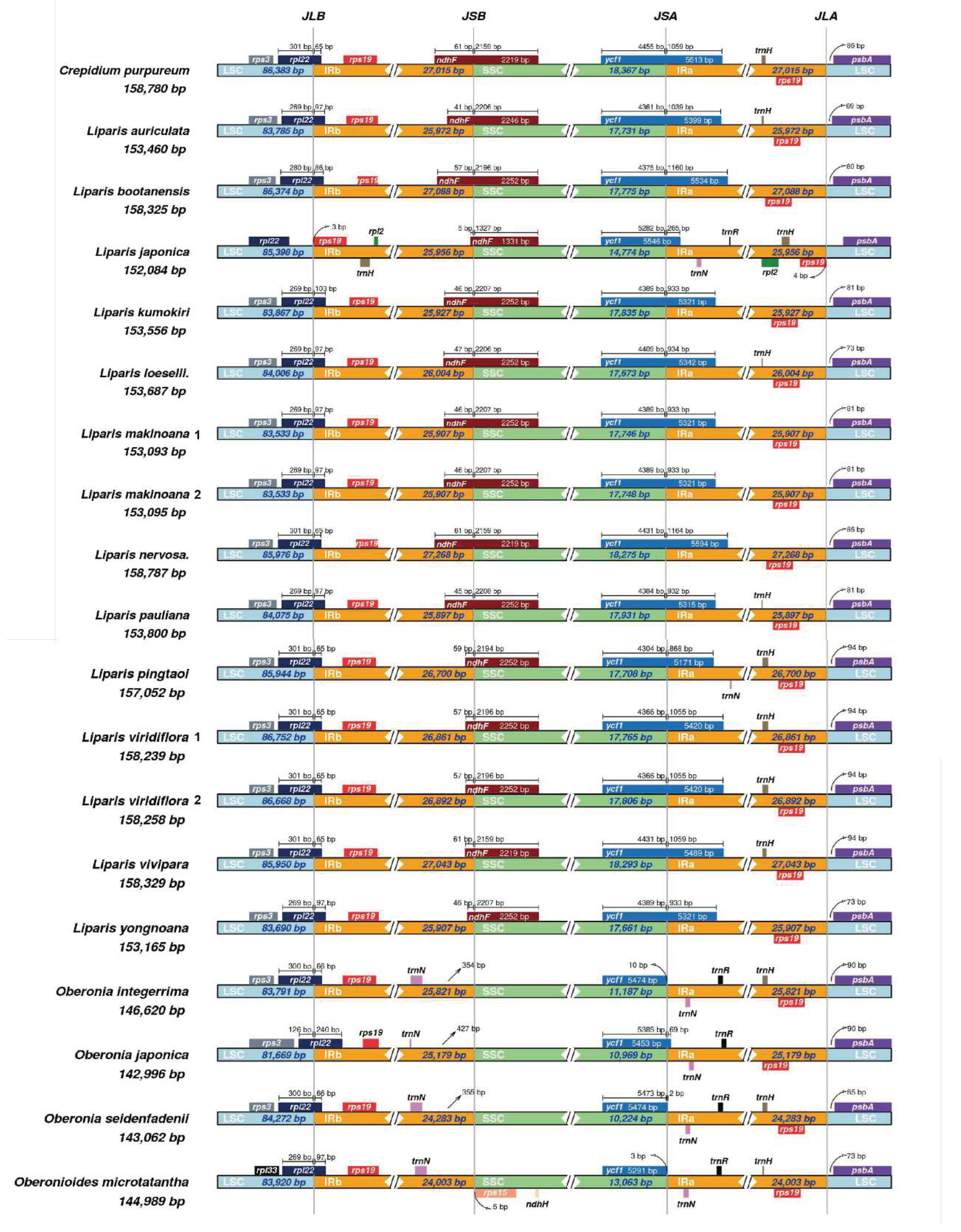 Preprints 94367 g003