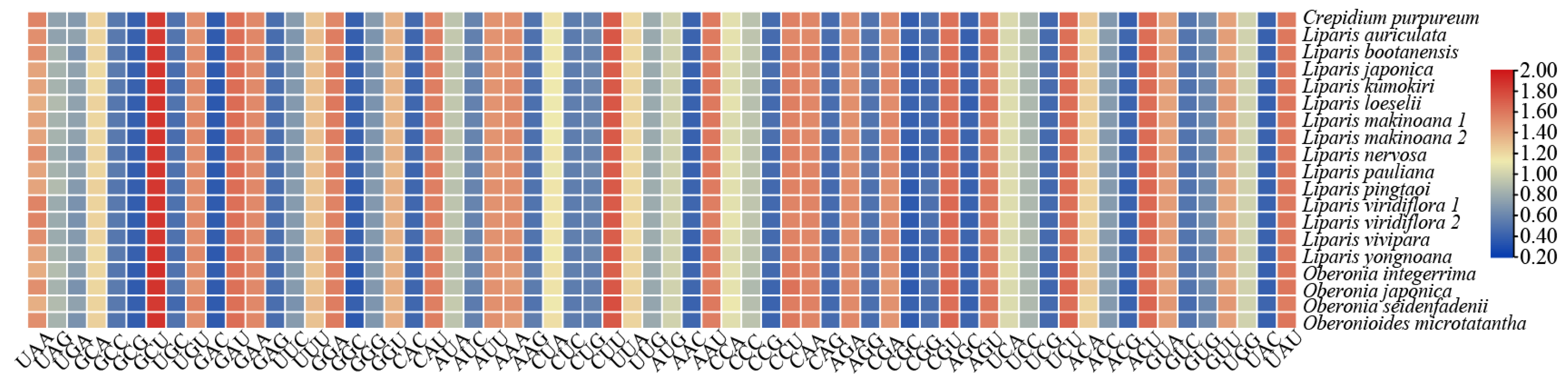 Preprints 94367 g004