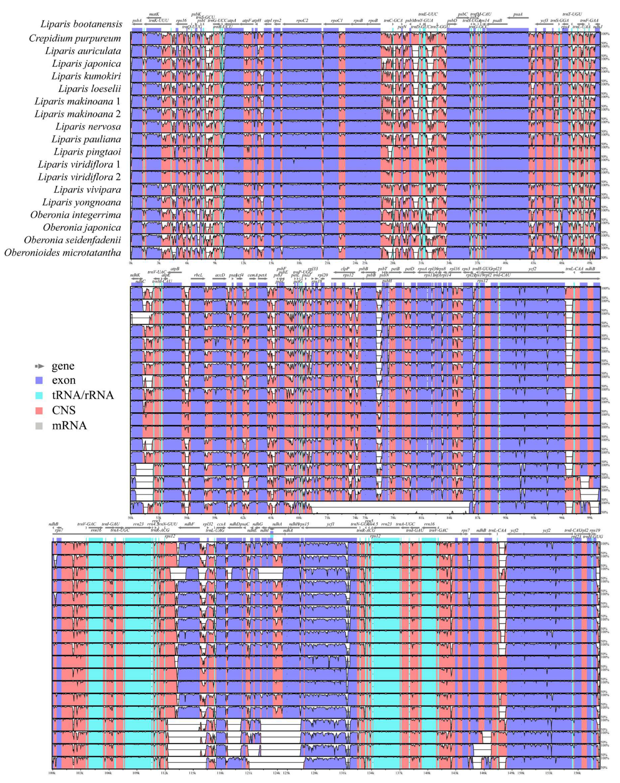 Preprints 94367 g005