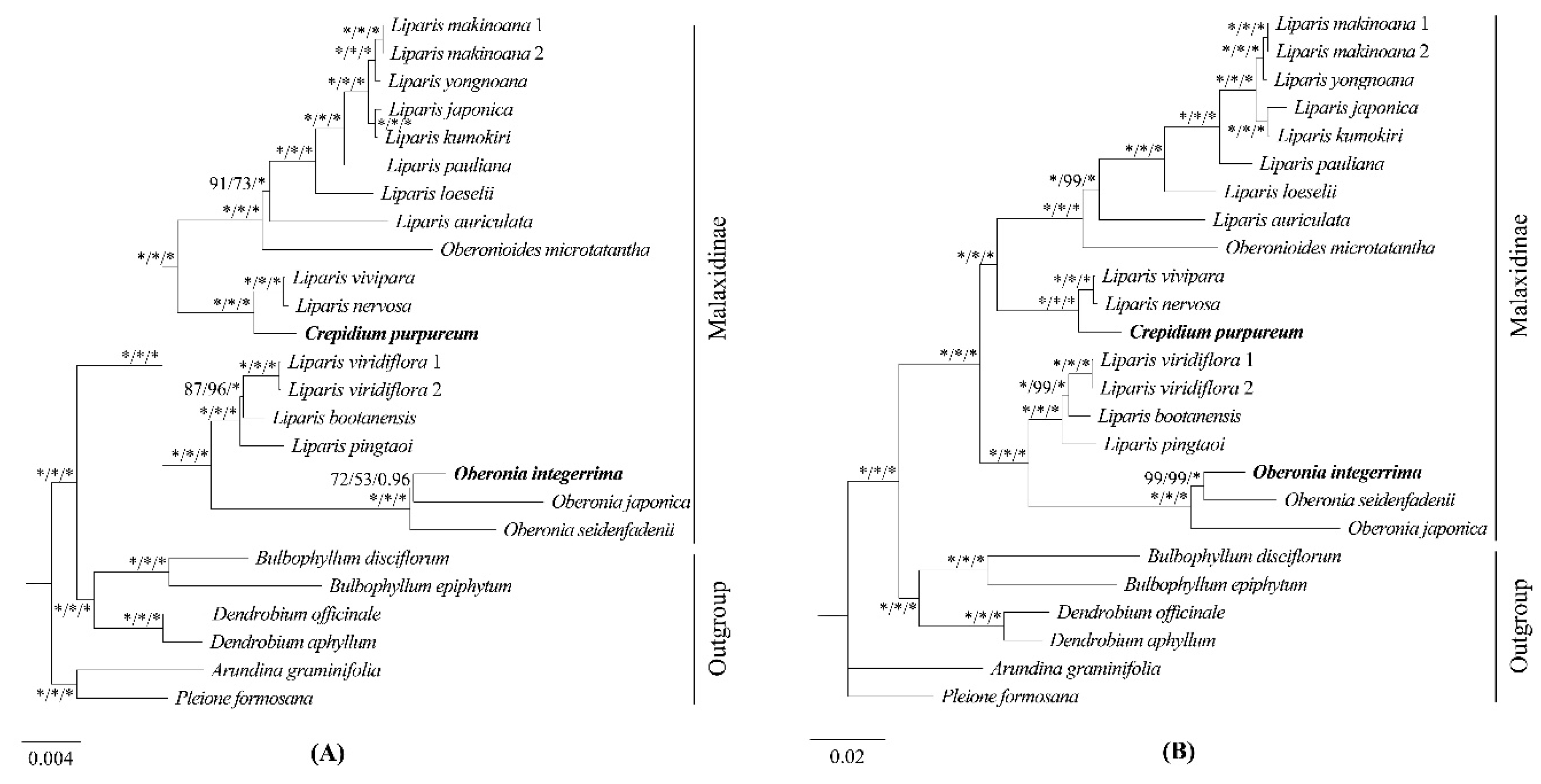 Preprints 94367 g007