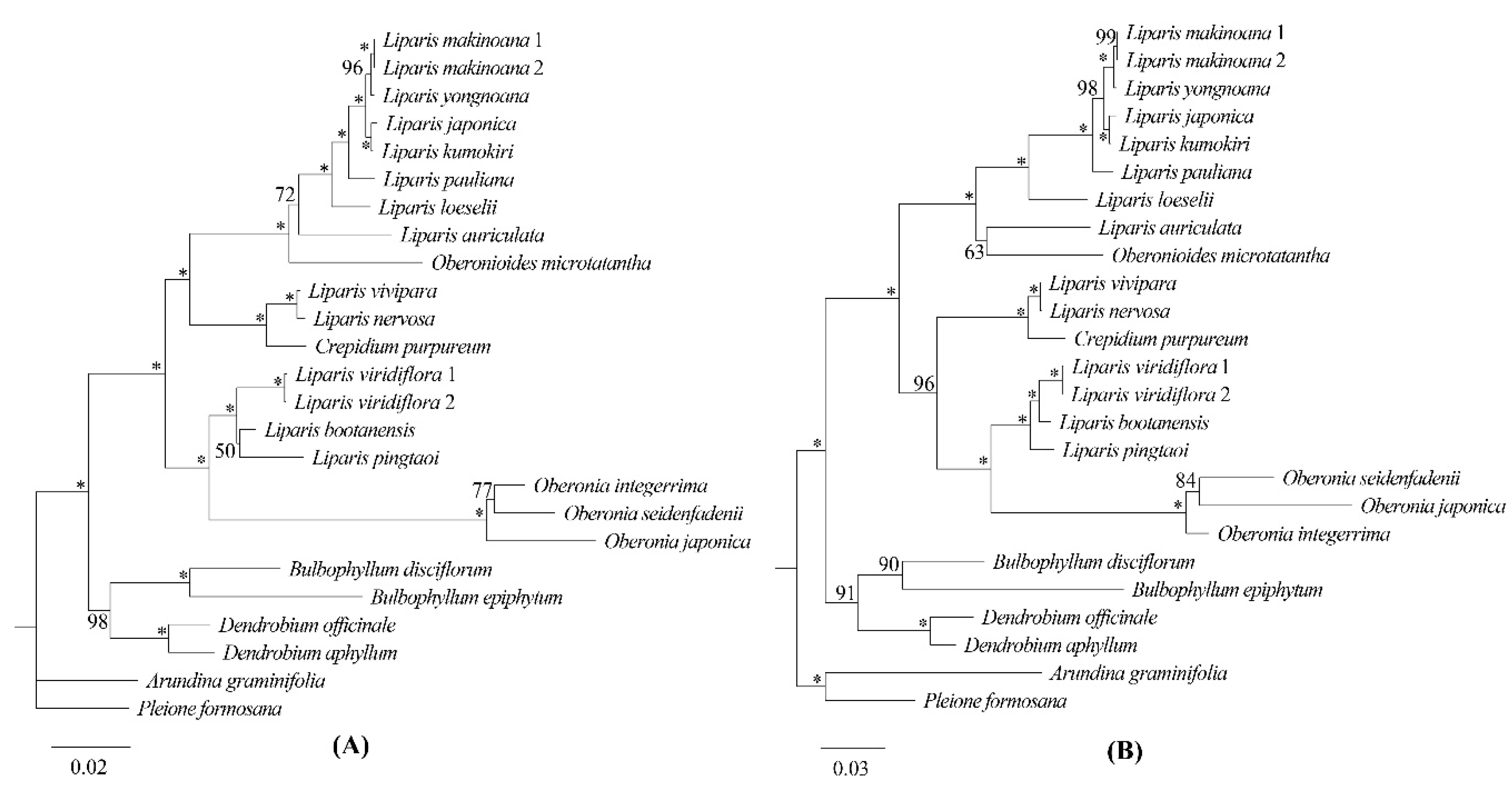 Preprints 94367 g009