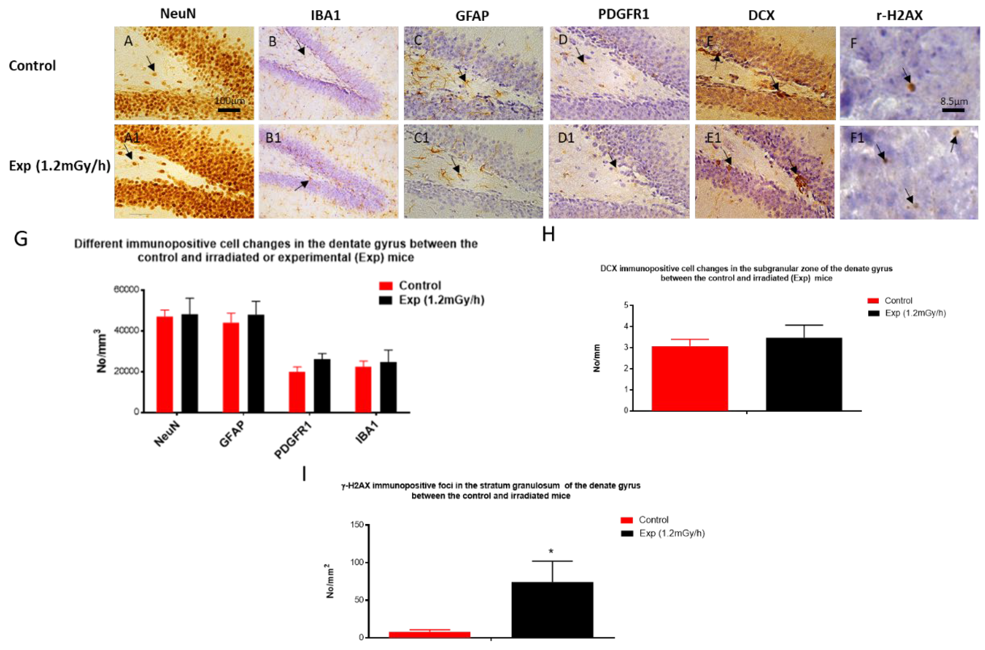 Preprints 116619 g003