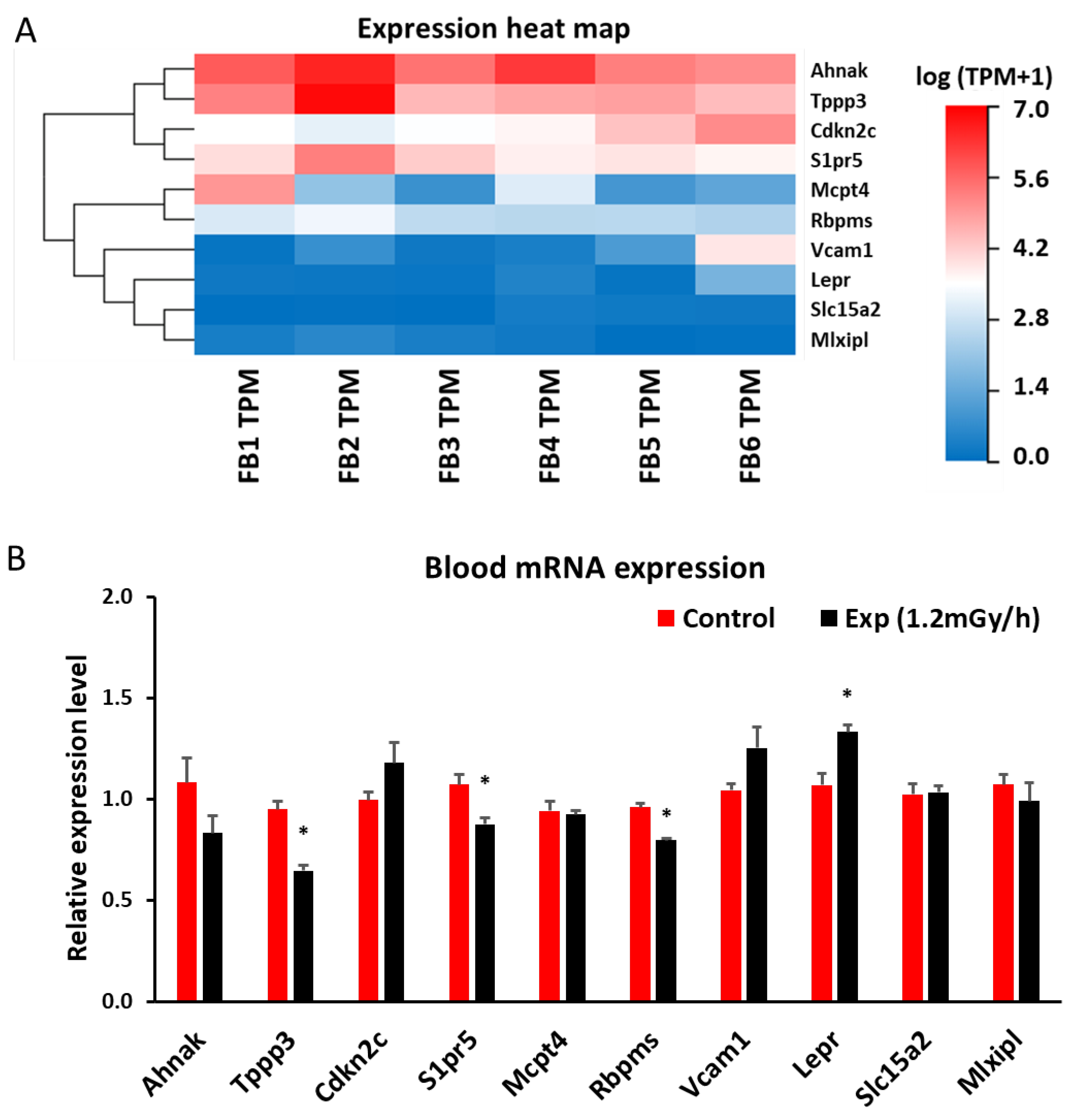 Preprints 116619 g007