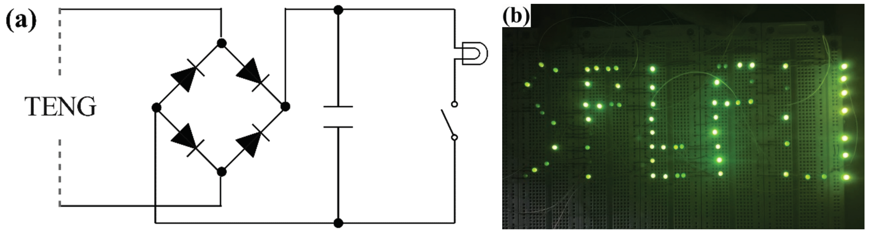 Preprints 103458 g007