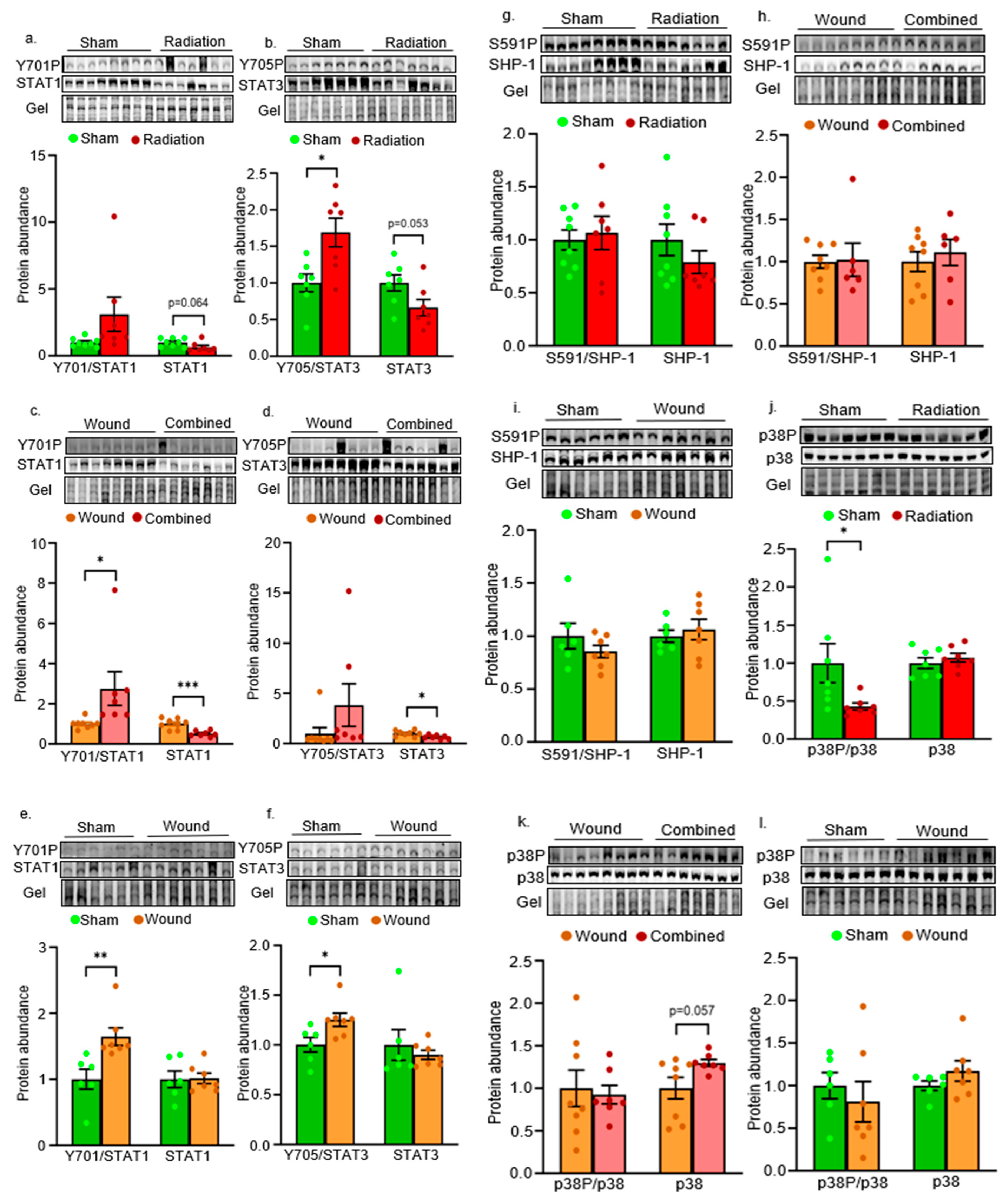 Preprints 108715 g002