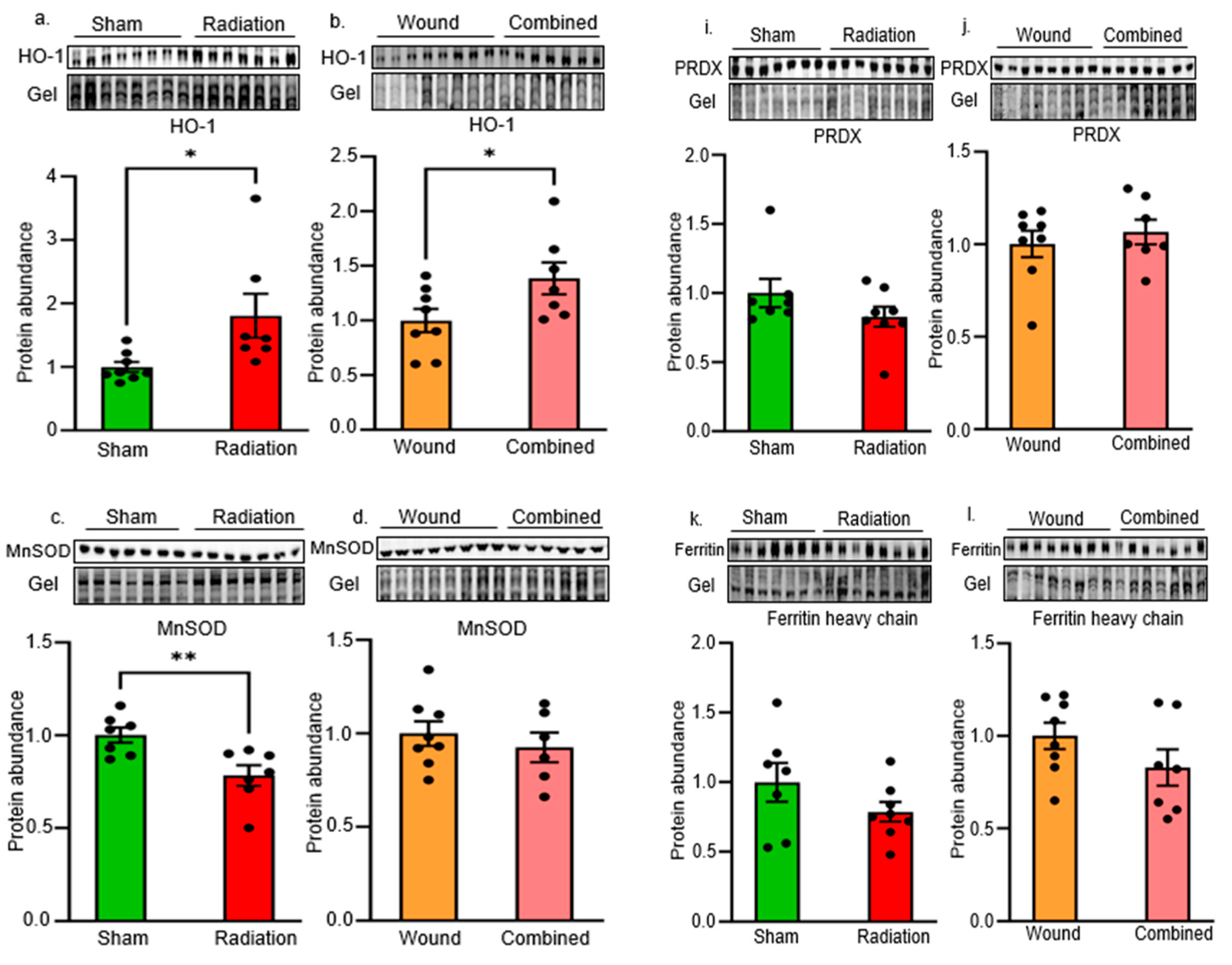 Preprints 108715 g004a