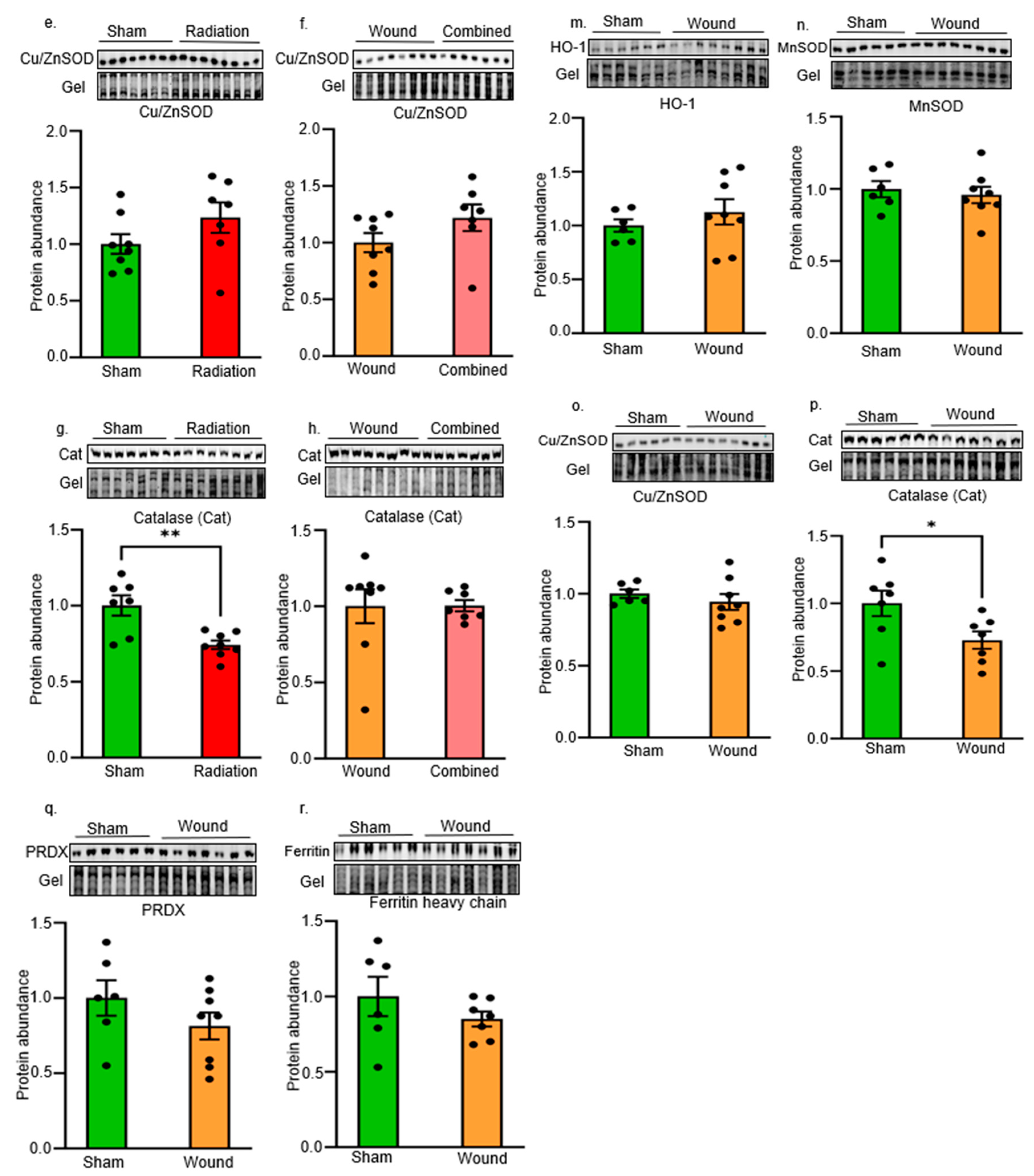 Preprints 108715 g004b