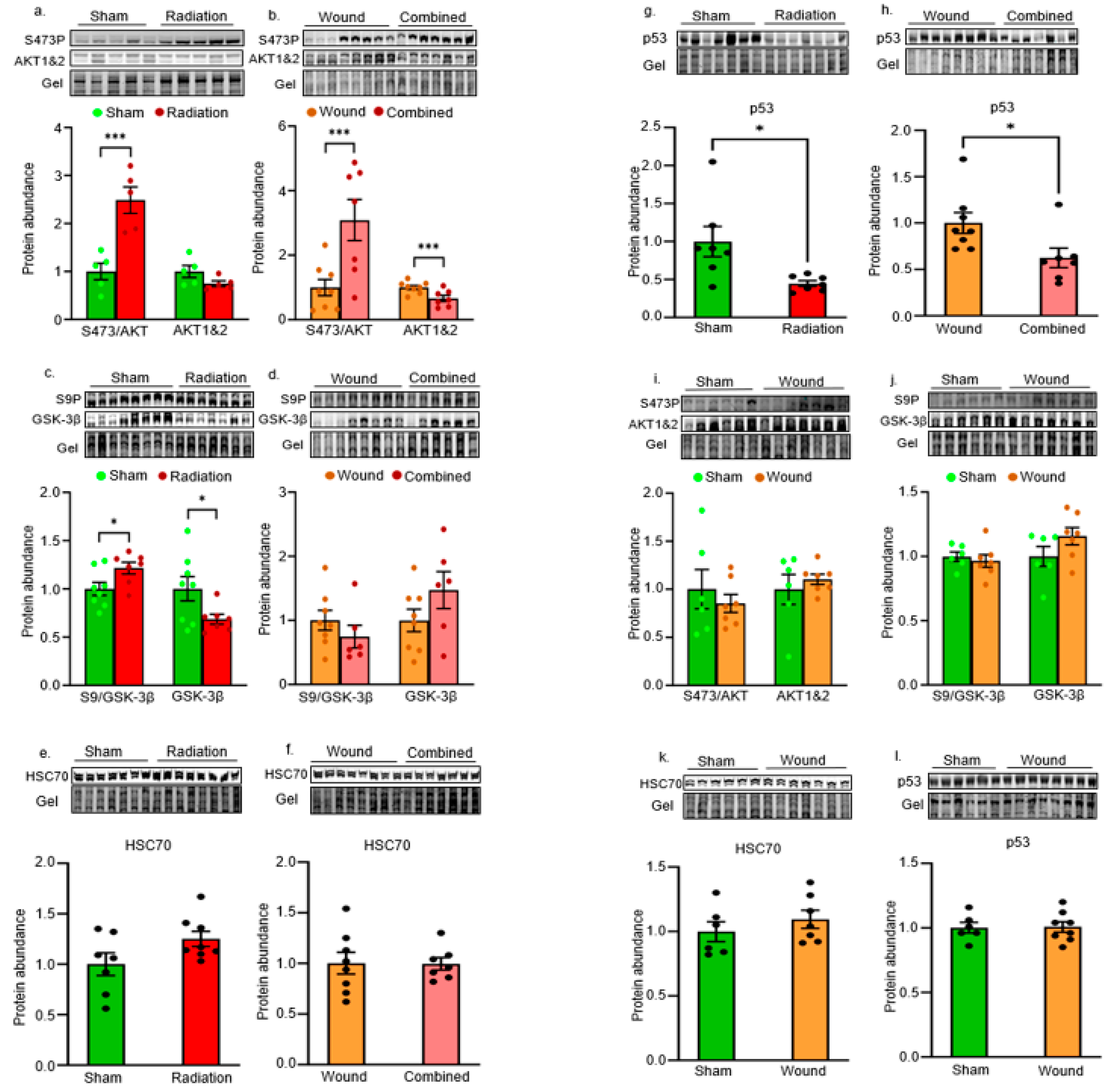 Preprints 108715 g005