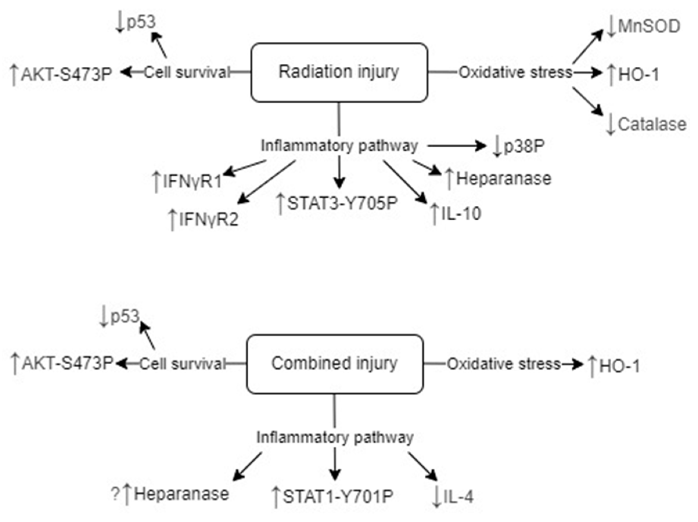 Preprints 108715 g006