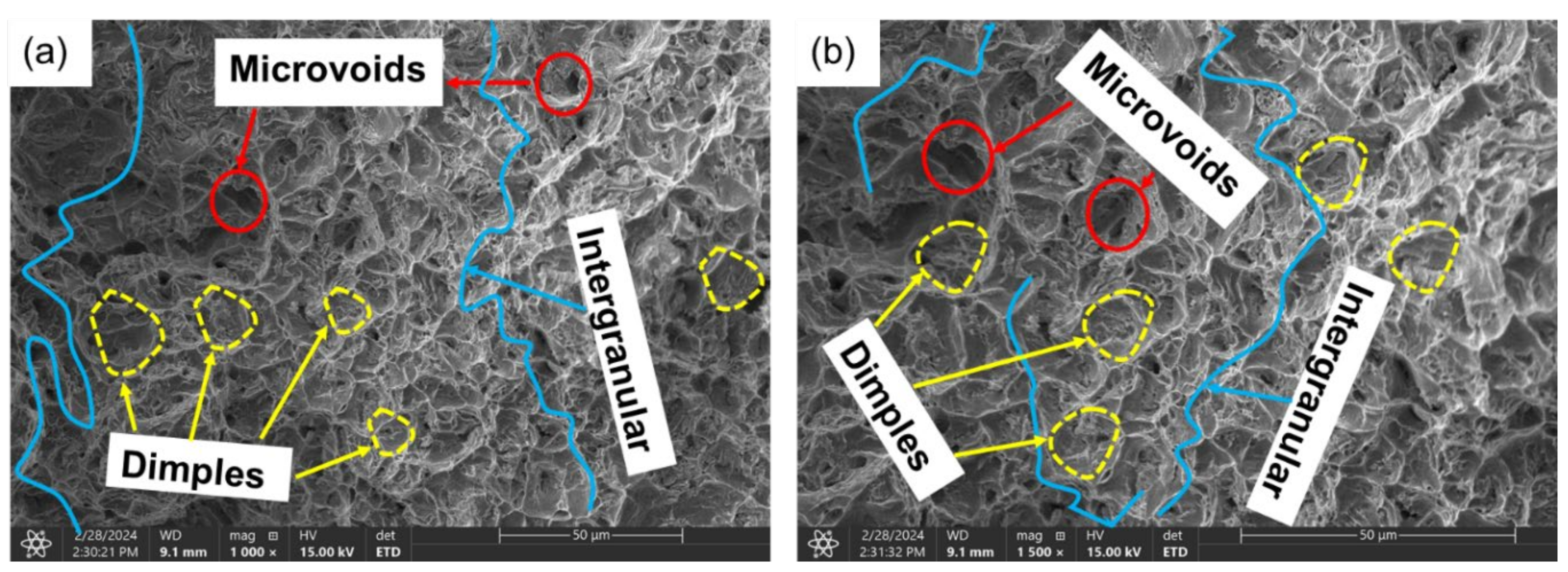 Preprints 106516 g013