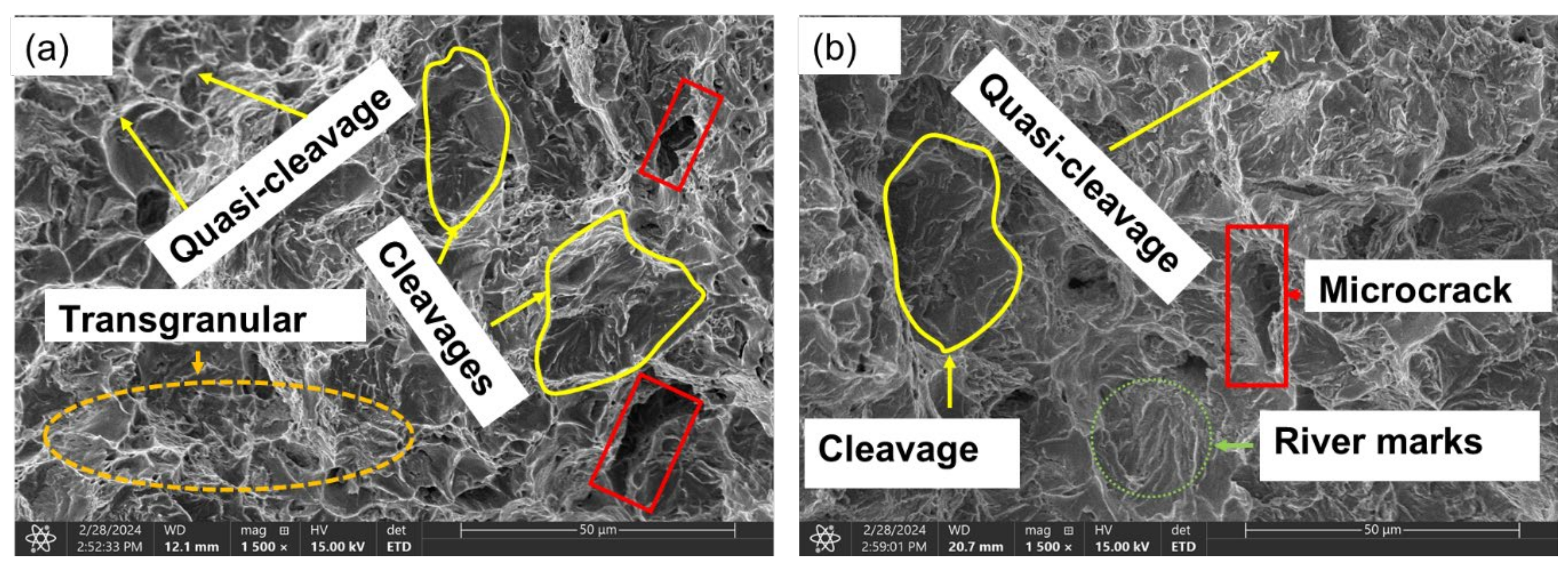 Preprints 106516 g015