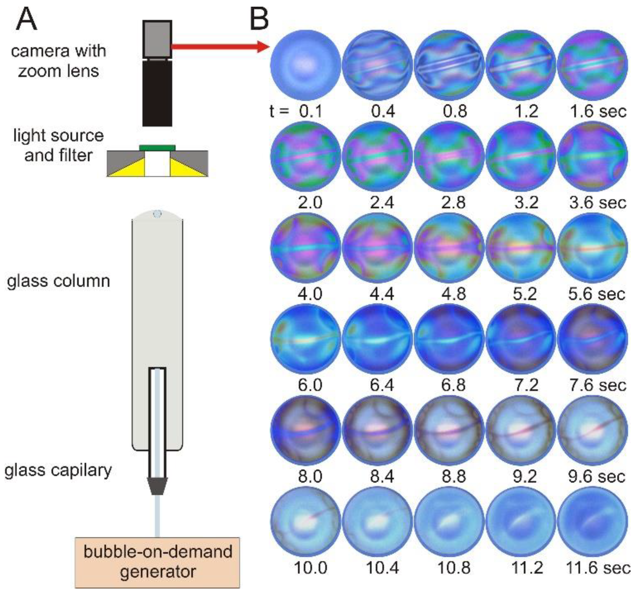 Preprints 120050 g001