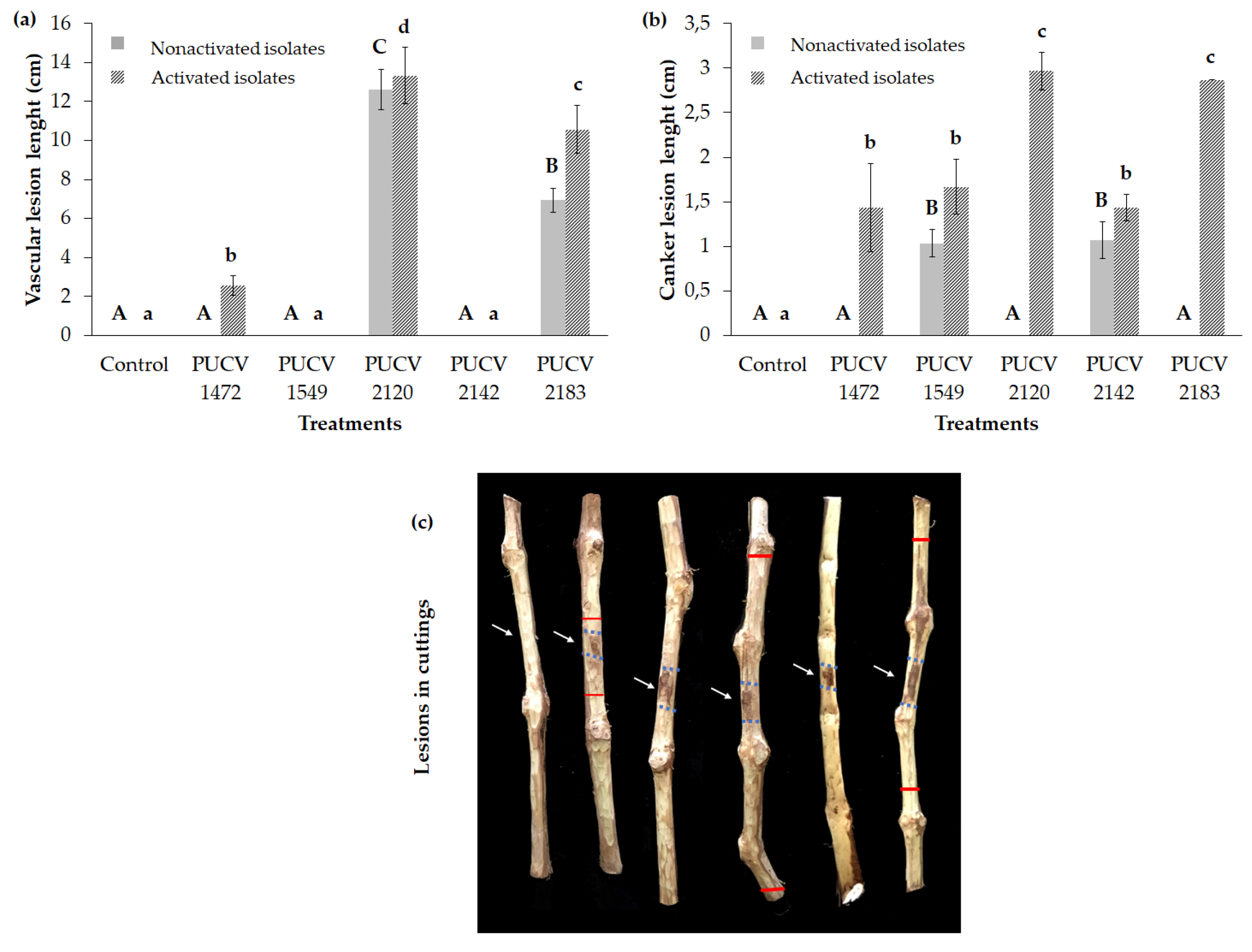 Preprints 78441 g001