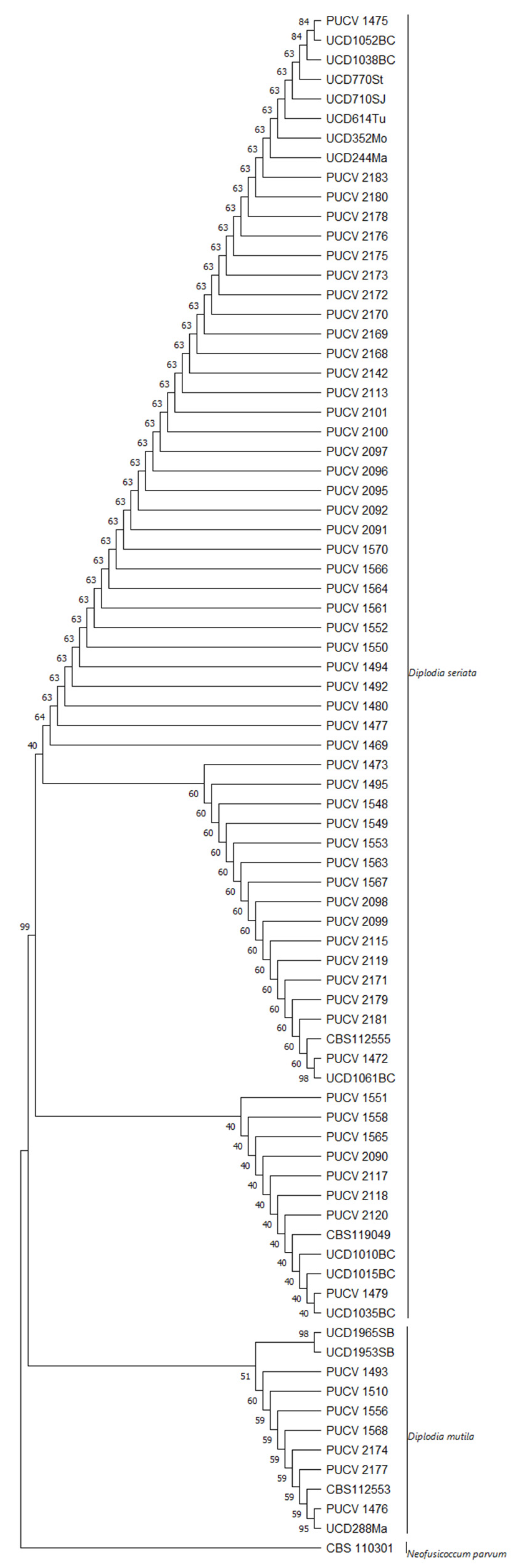 Preprints 78441 g005