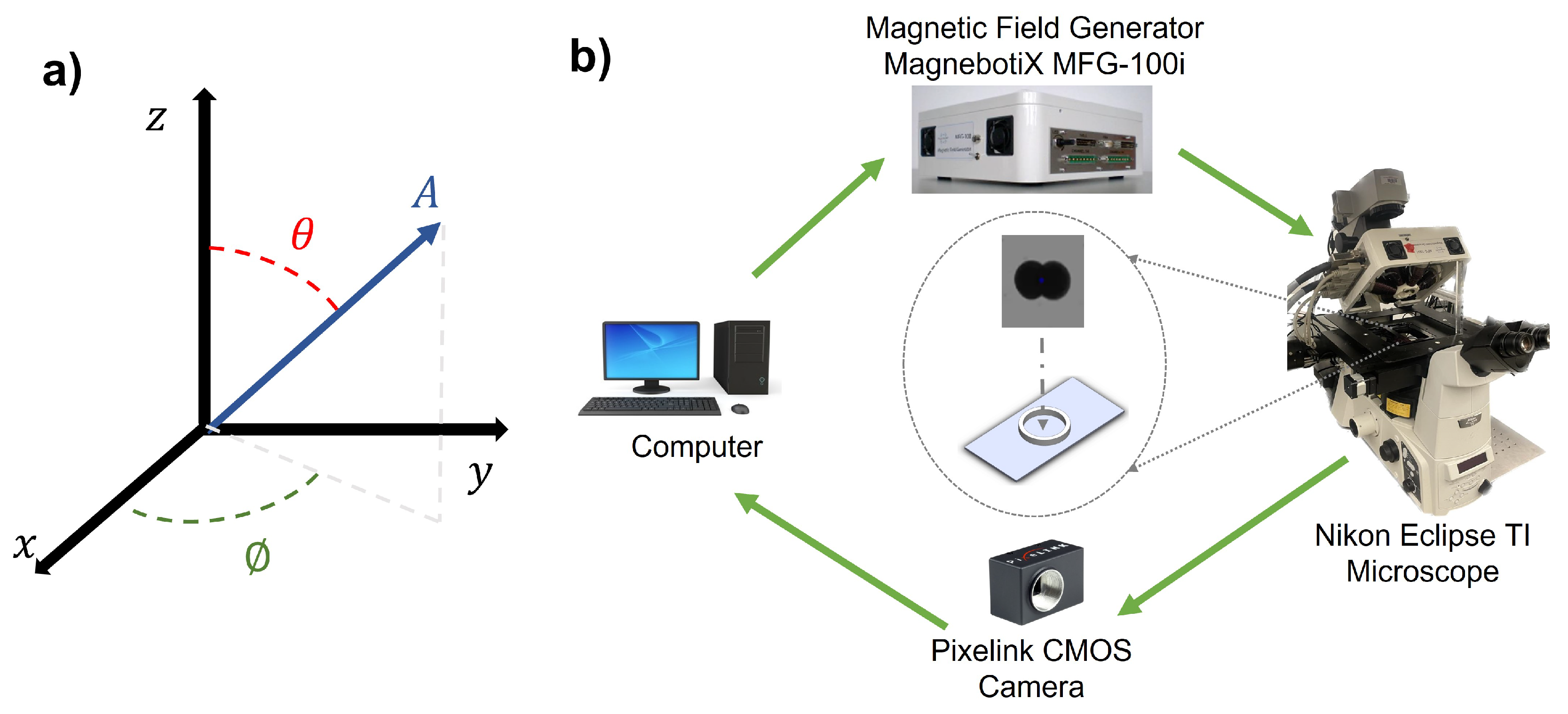 Preprints 73842 g003